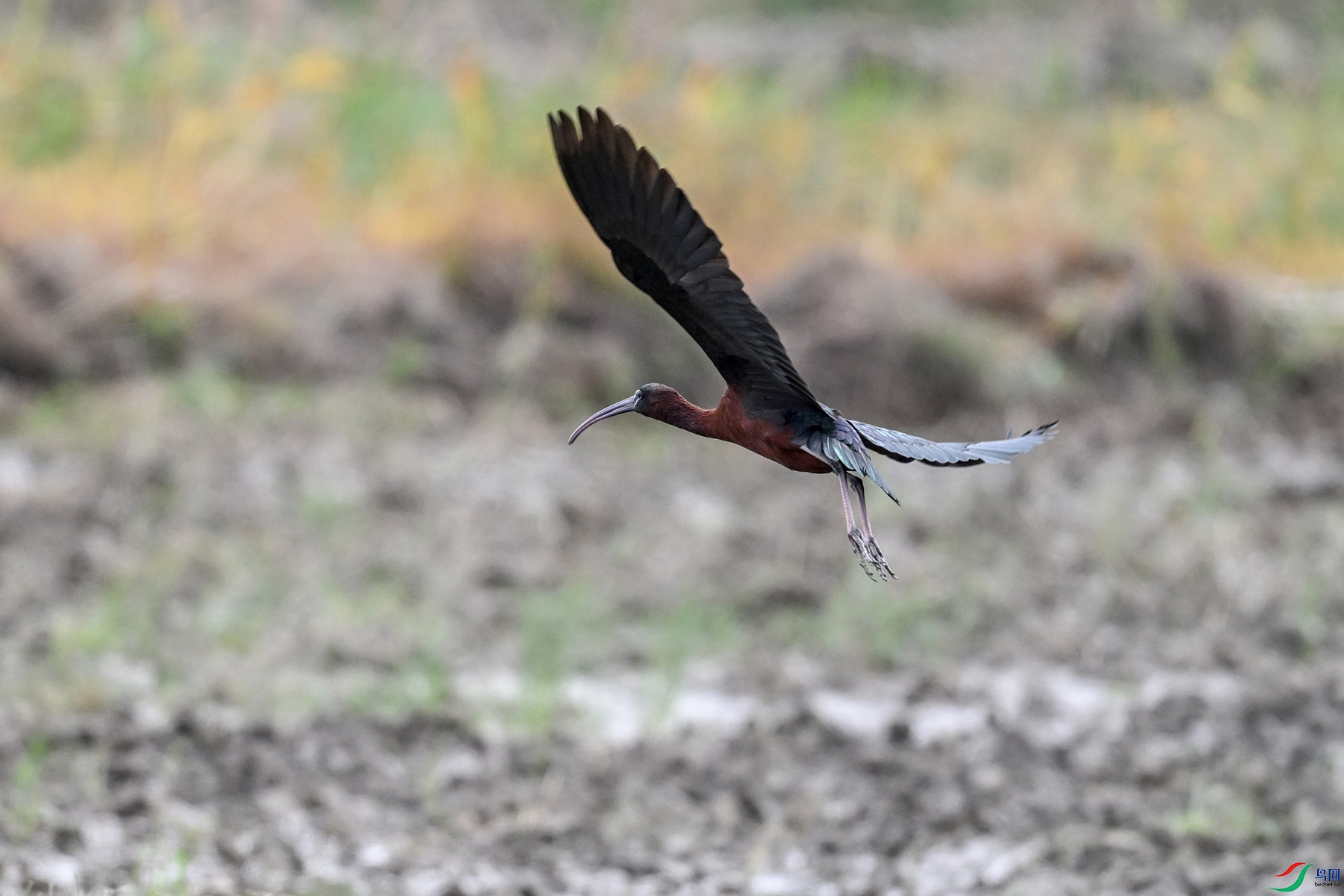 DSC_7545.JPG