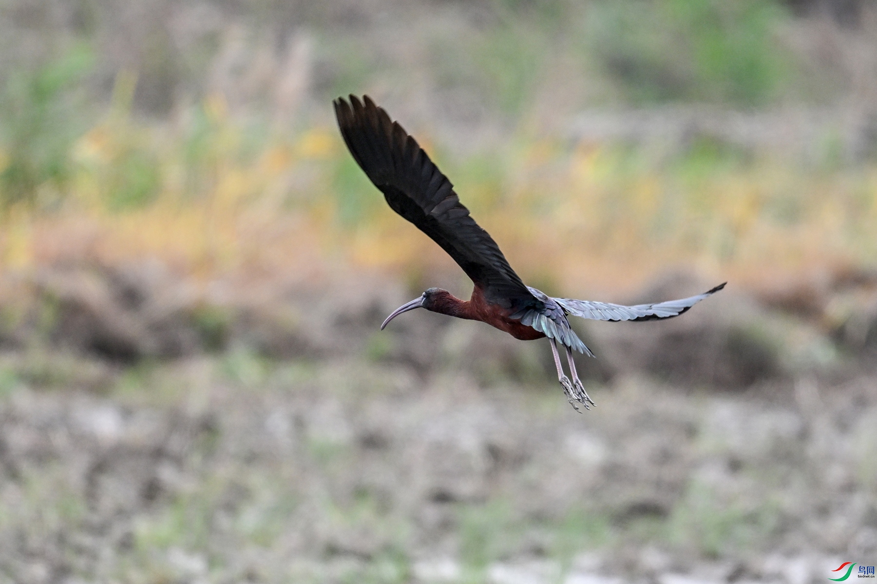 DSC_7548.JPG