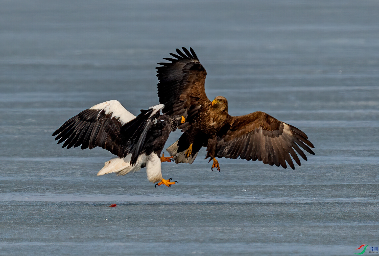 _DSC3419-11.jpg