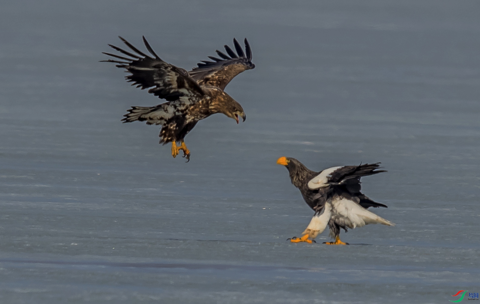 _DSC2943.jpg