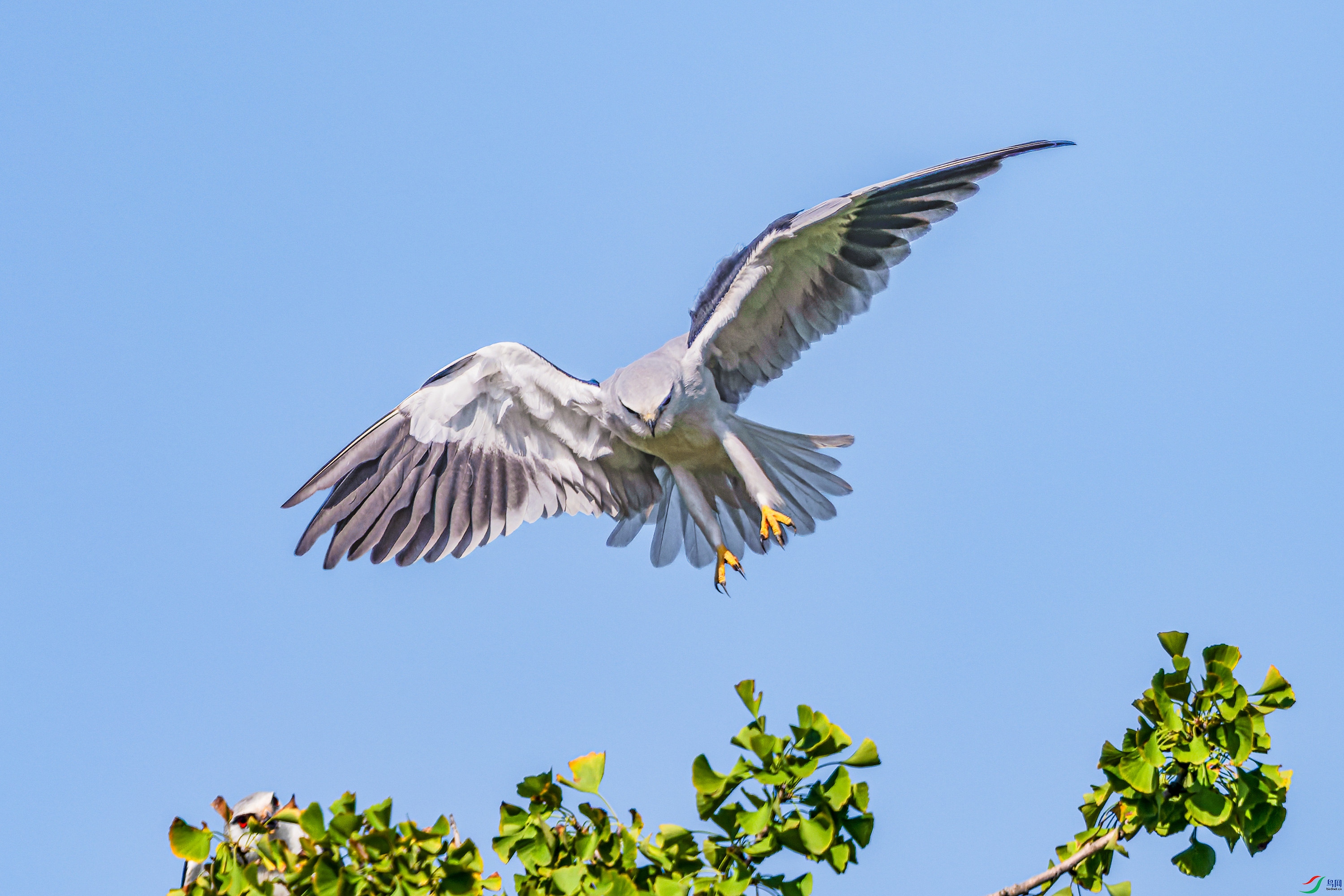 DSC_3187.jpg