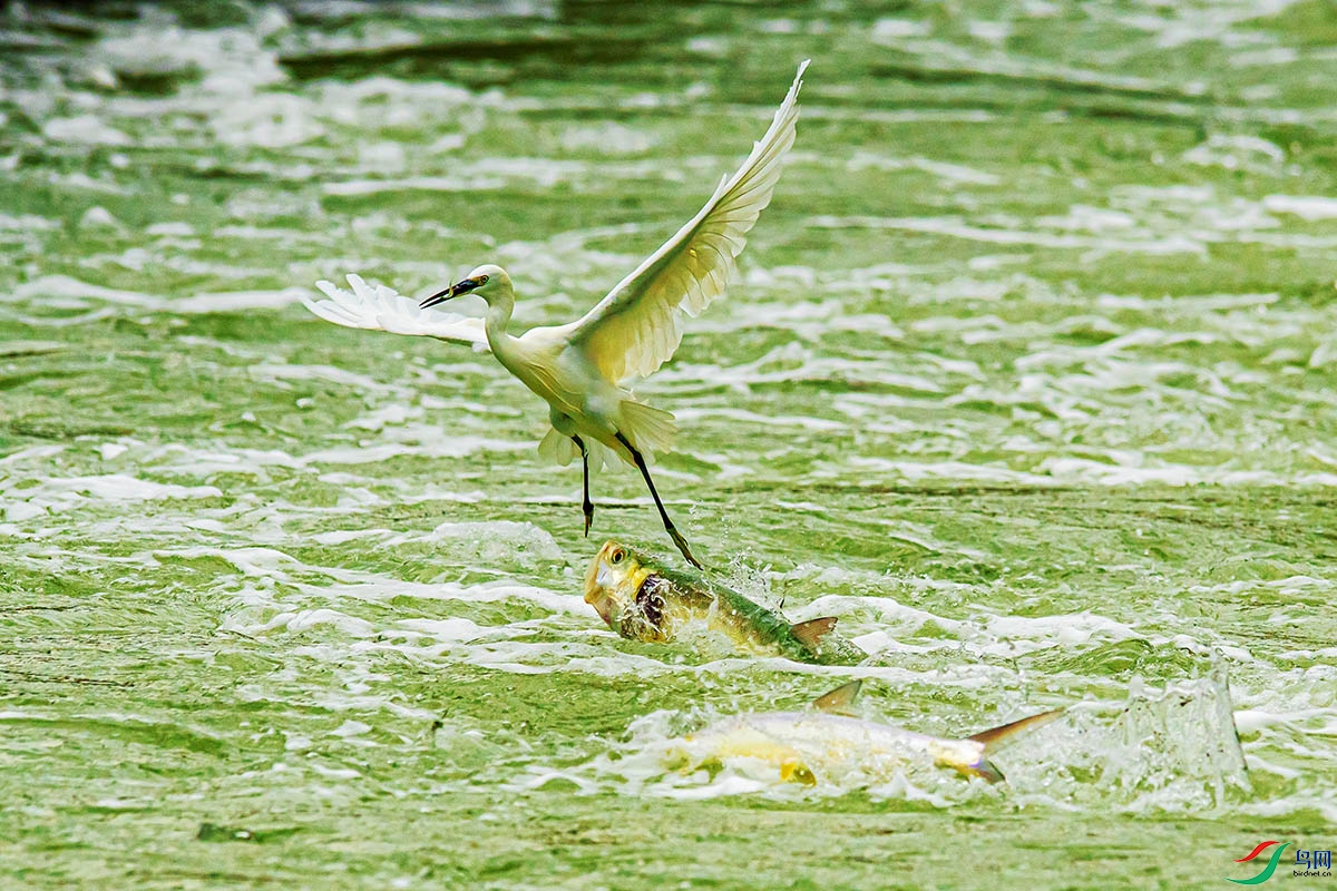 DSC_5206.jpg