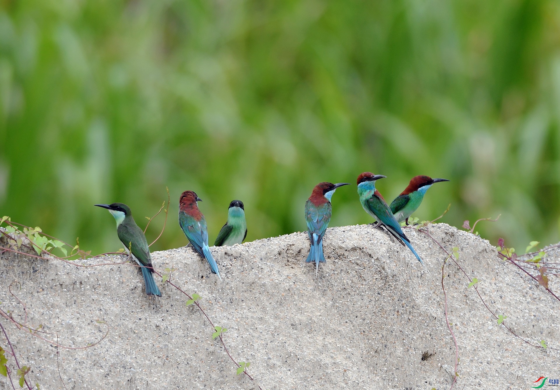 DSC_3136.jpg