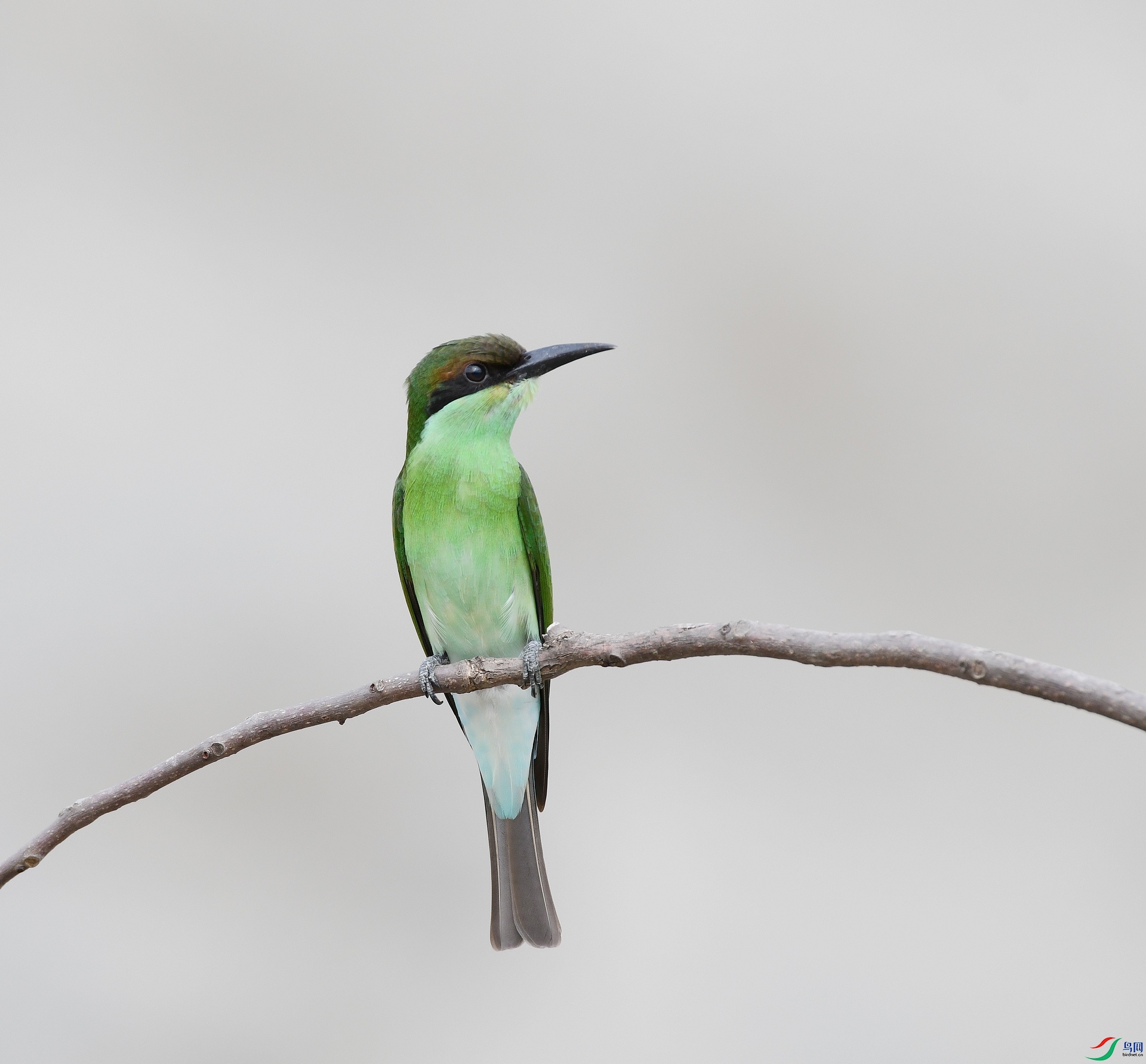 DSC_2741.jpg