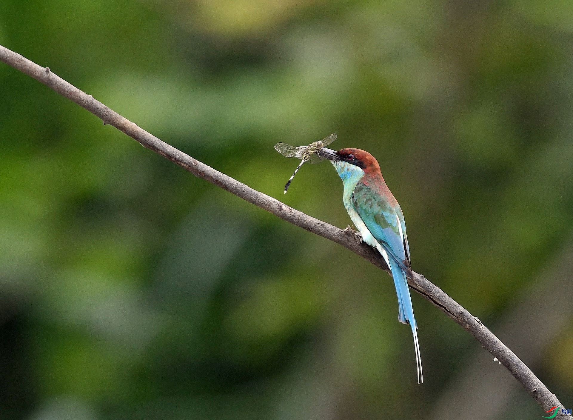 DSC_6638.jpg