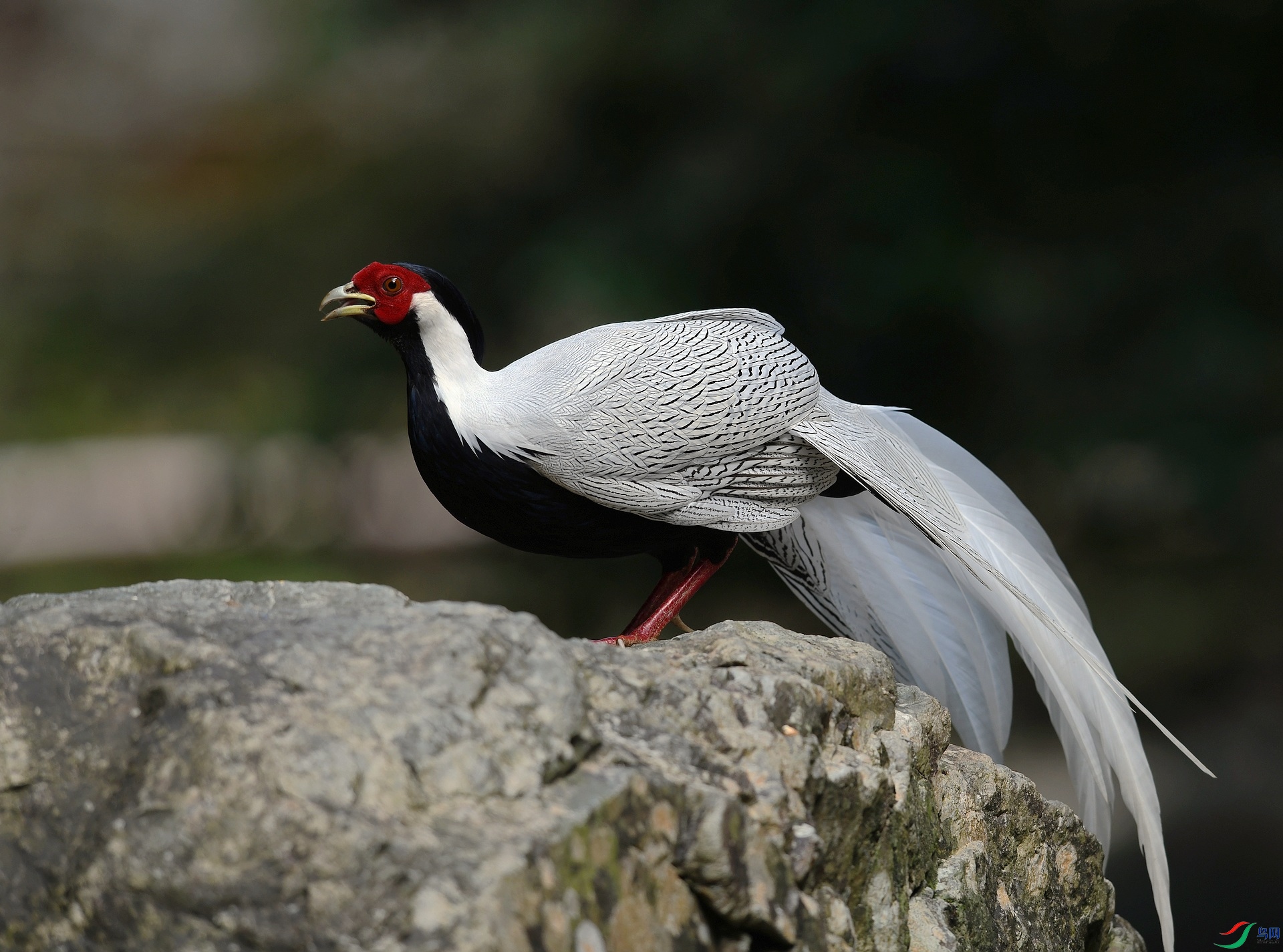 DSC_7408.jpg