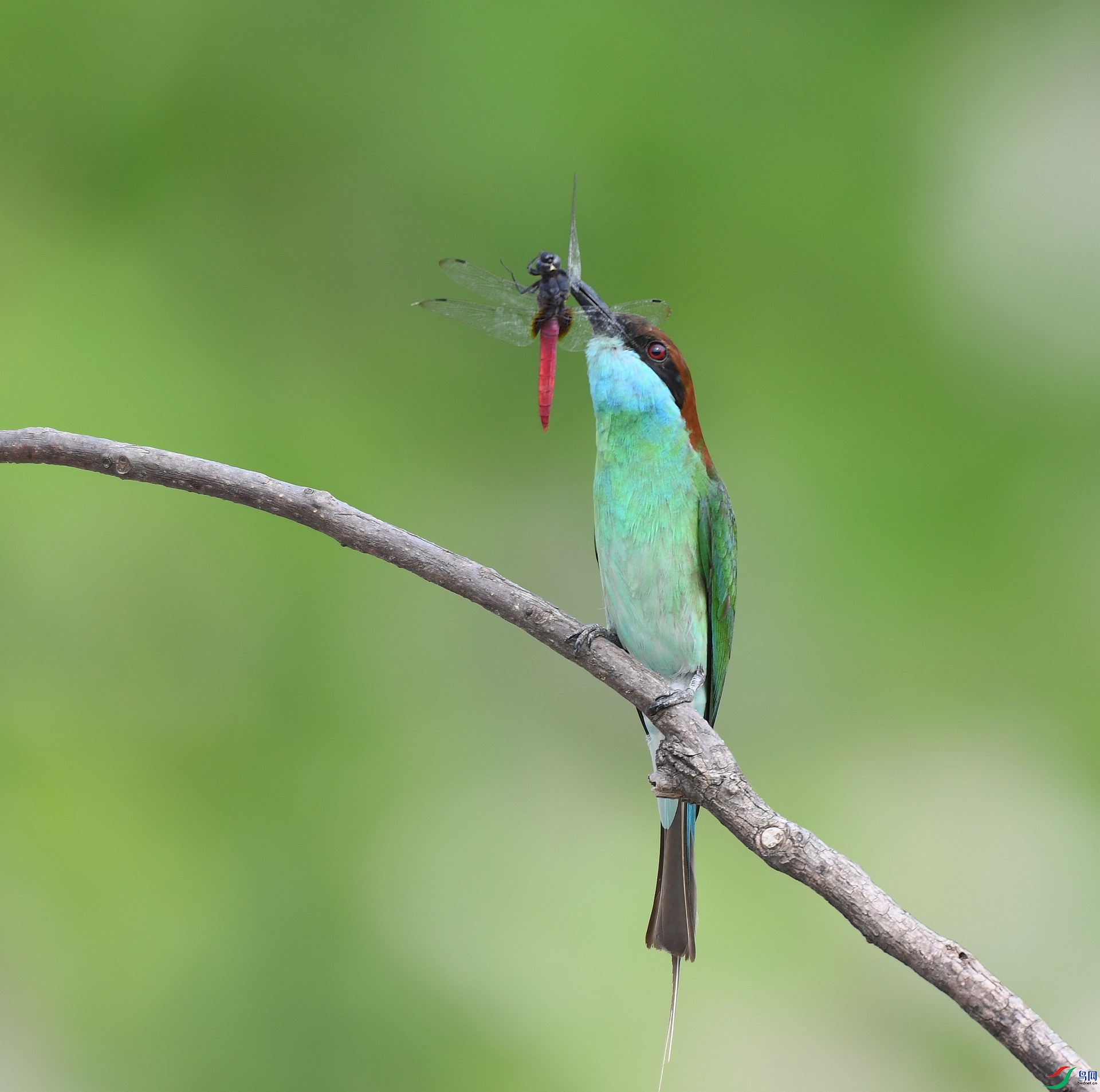 DSC_2849.jpg