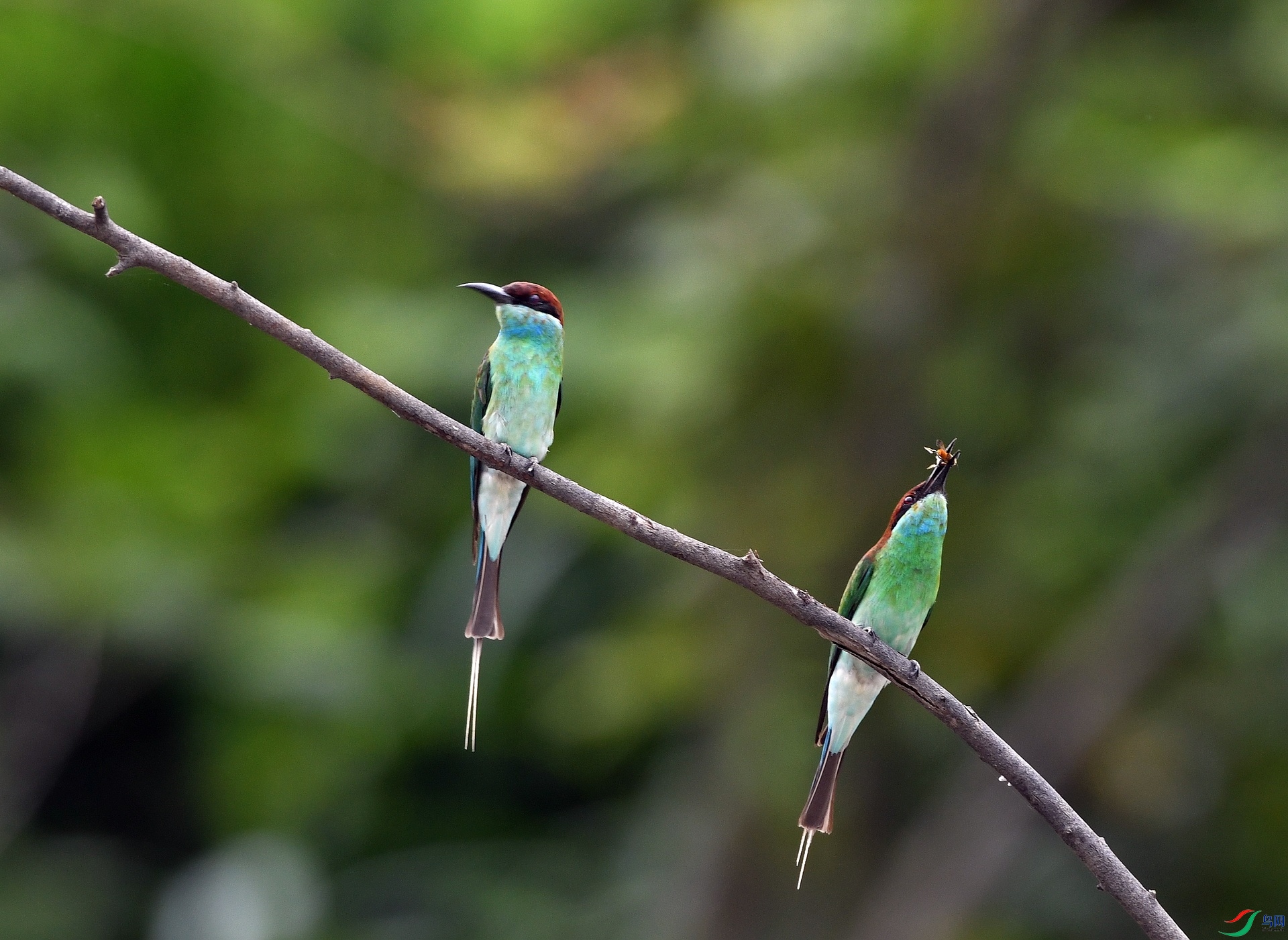 DSC_6906.jpg