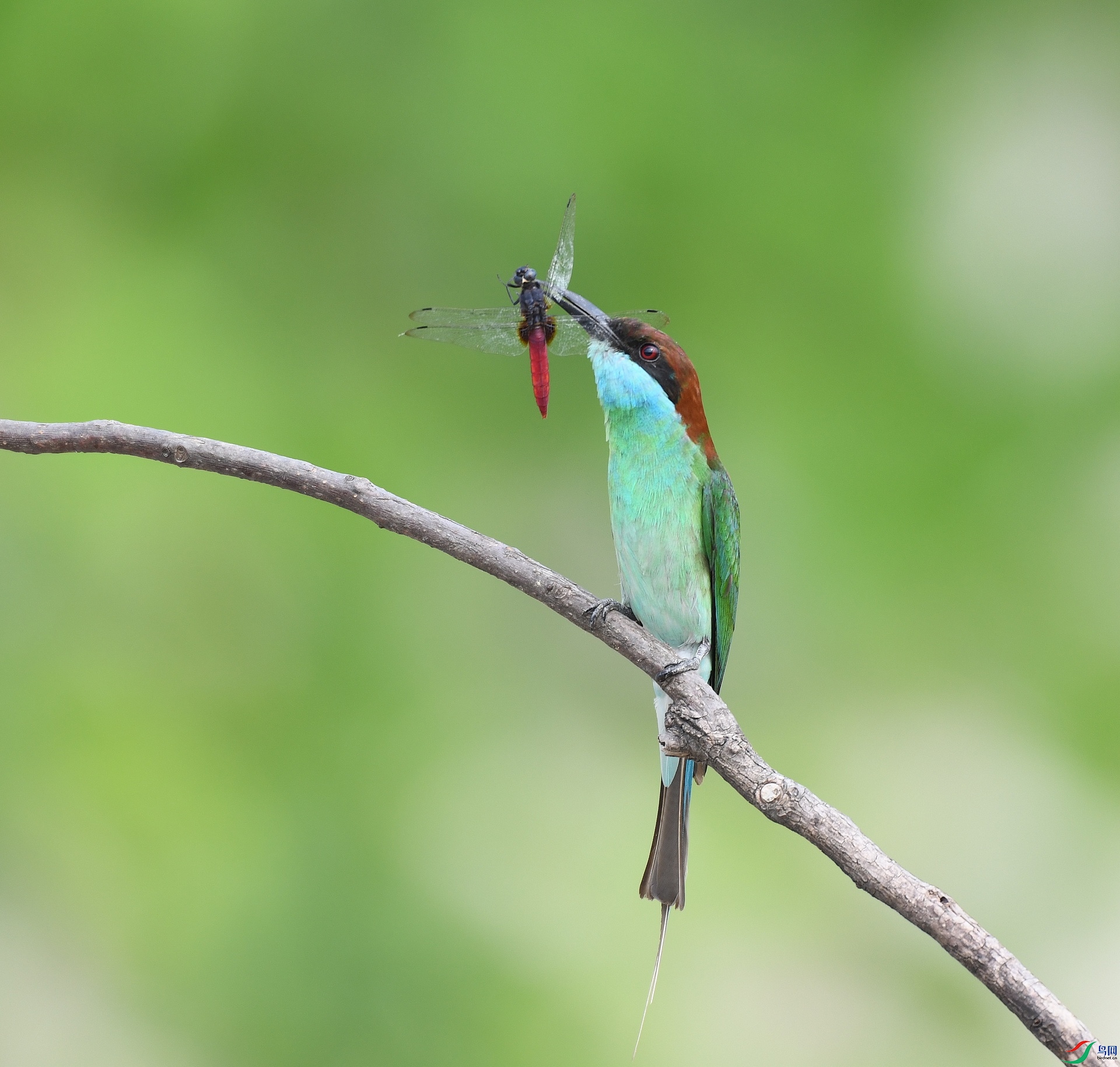 DSC_2850.jpg