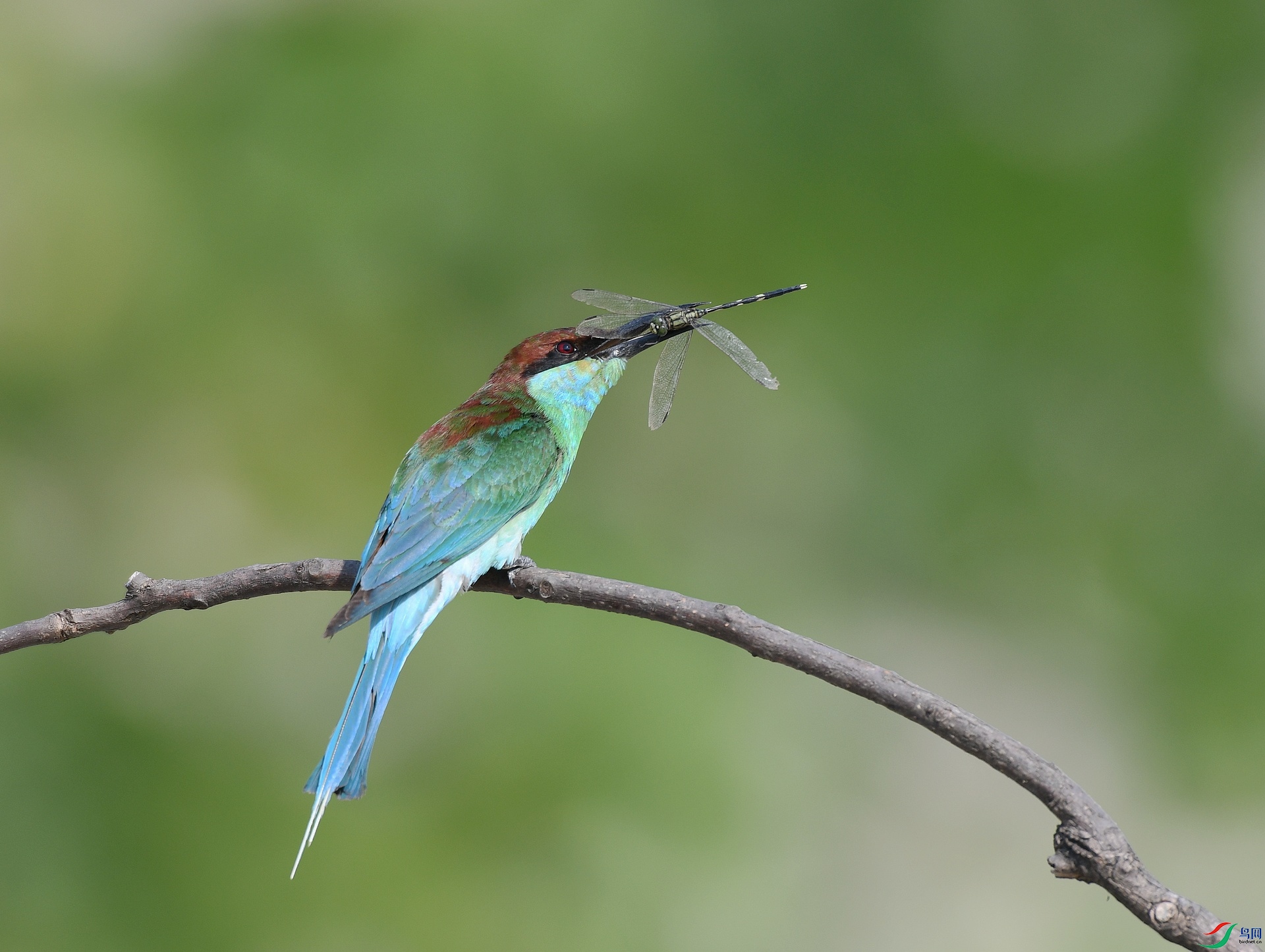 DSC_3307.jpg