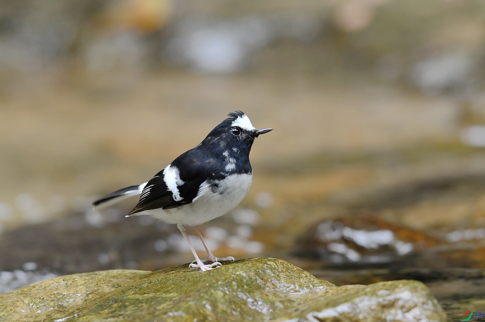 DSC_7025.jpg