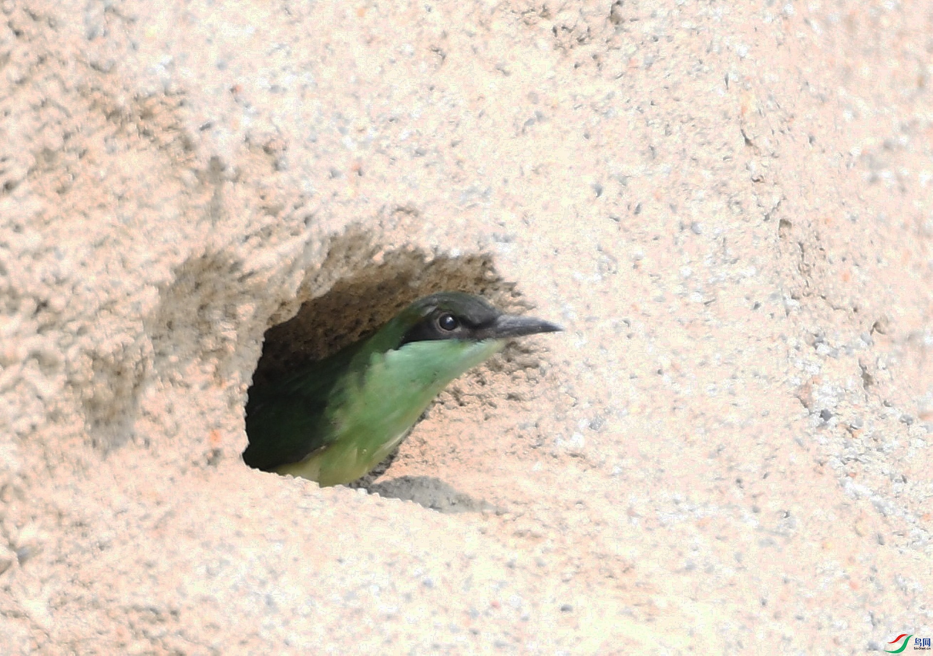 DSC_6958.jpg
