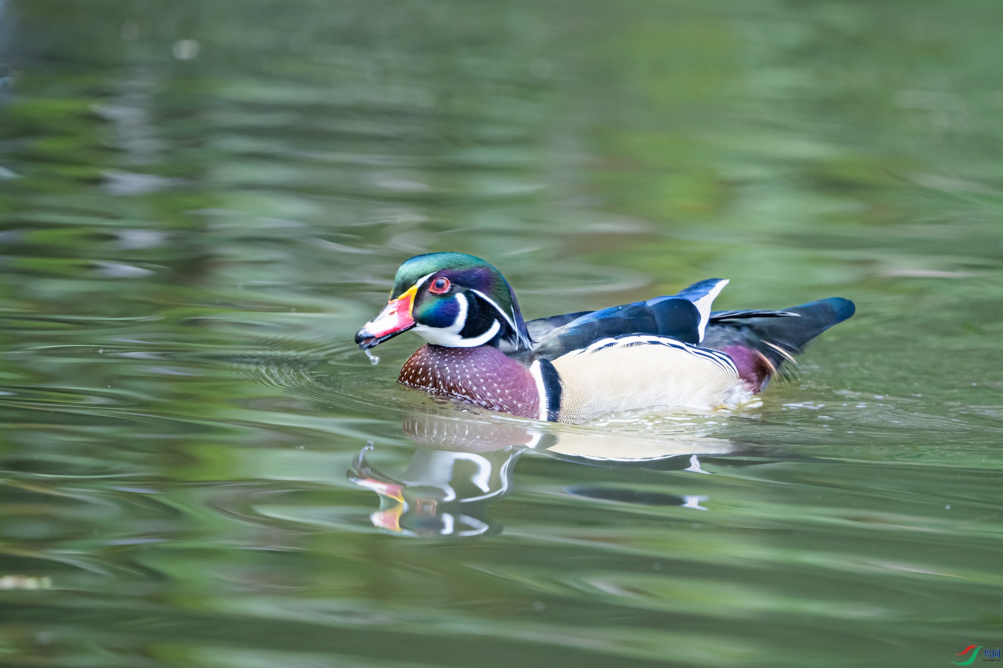 DSC_0002.jpg