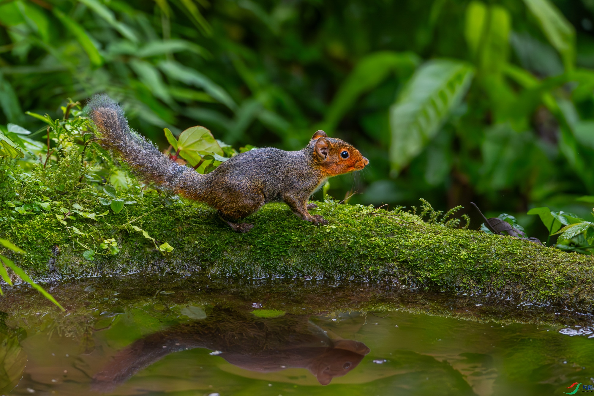 _DSC3640.JPG