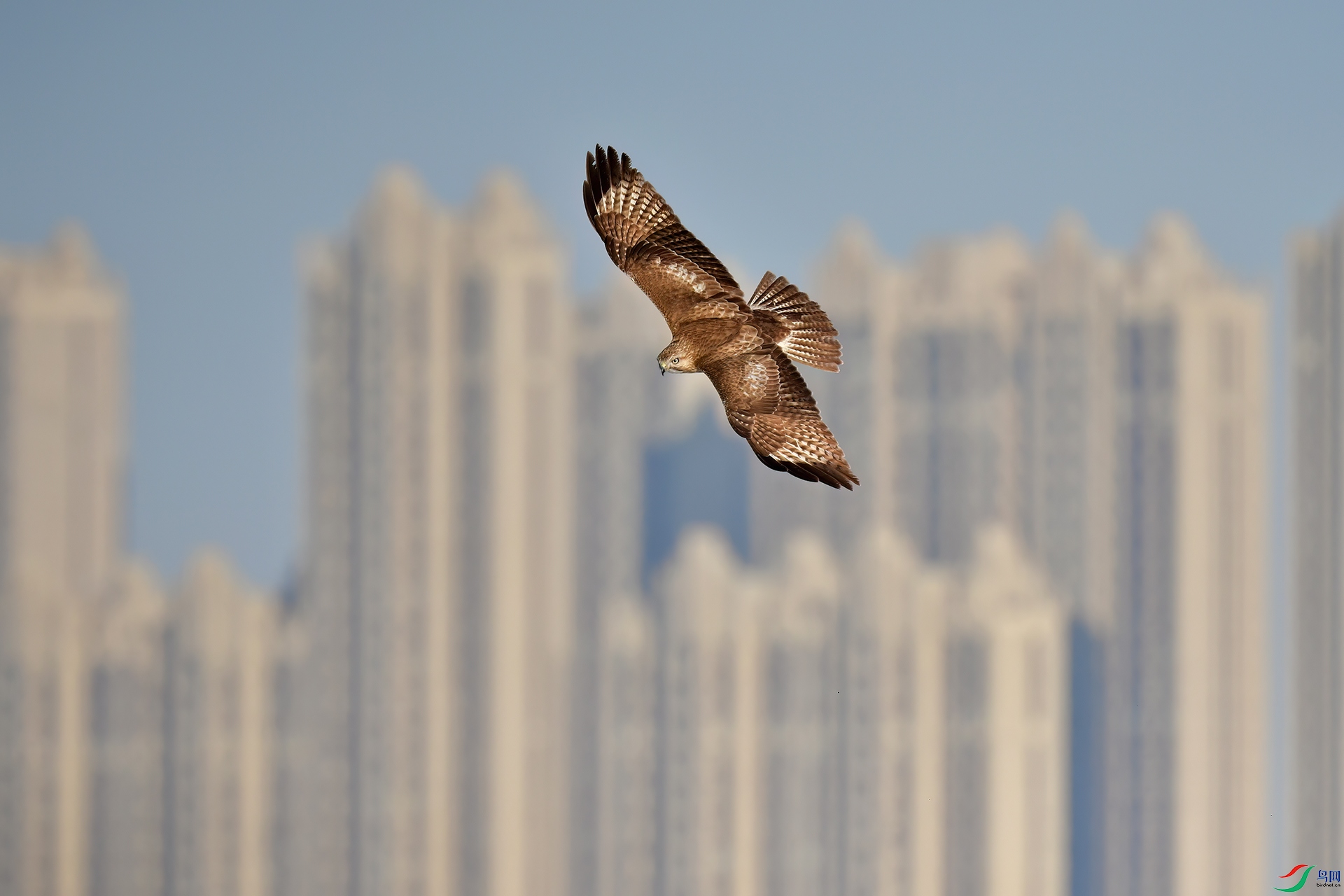 DSC_5033.jpg