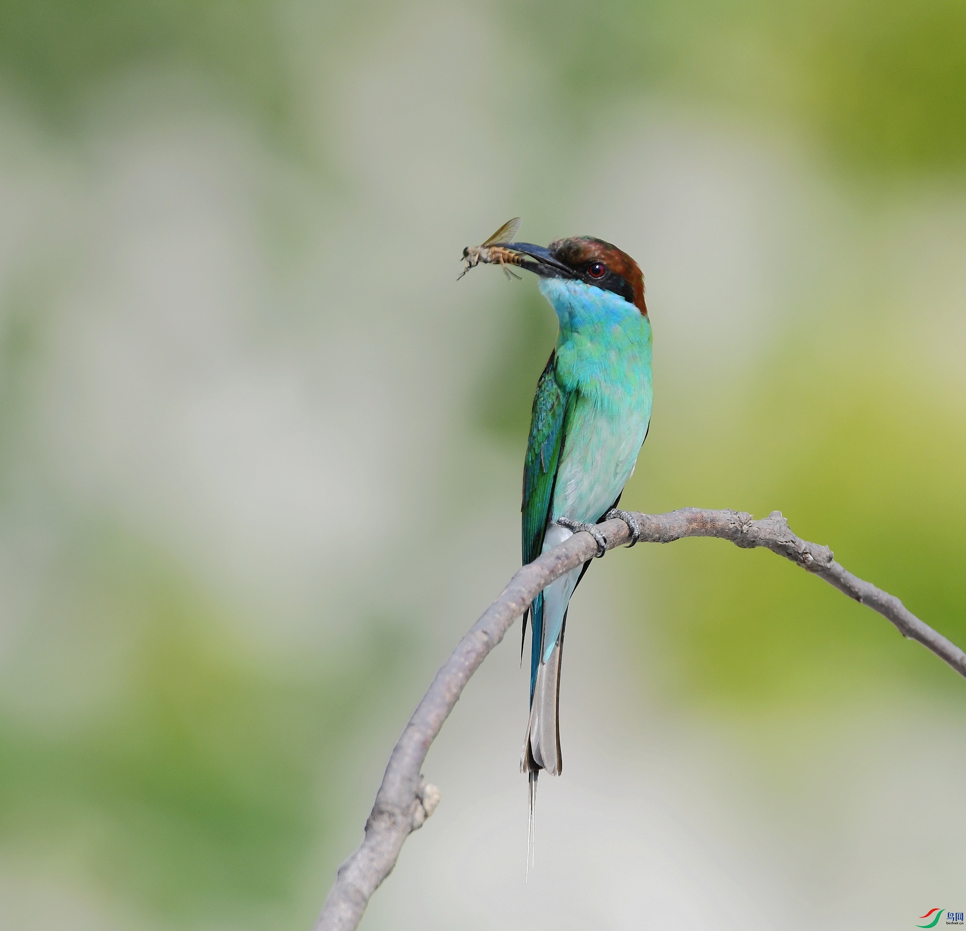 DSC_3317.jpg