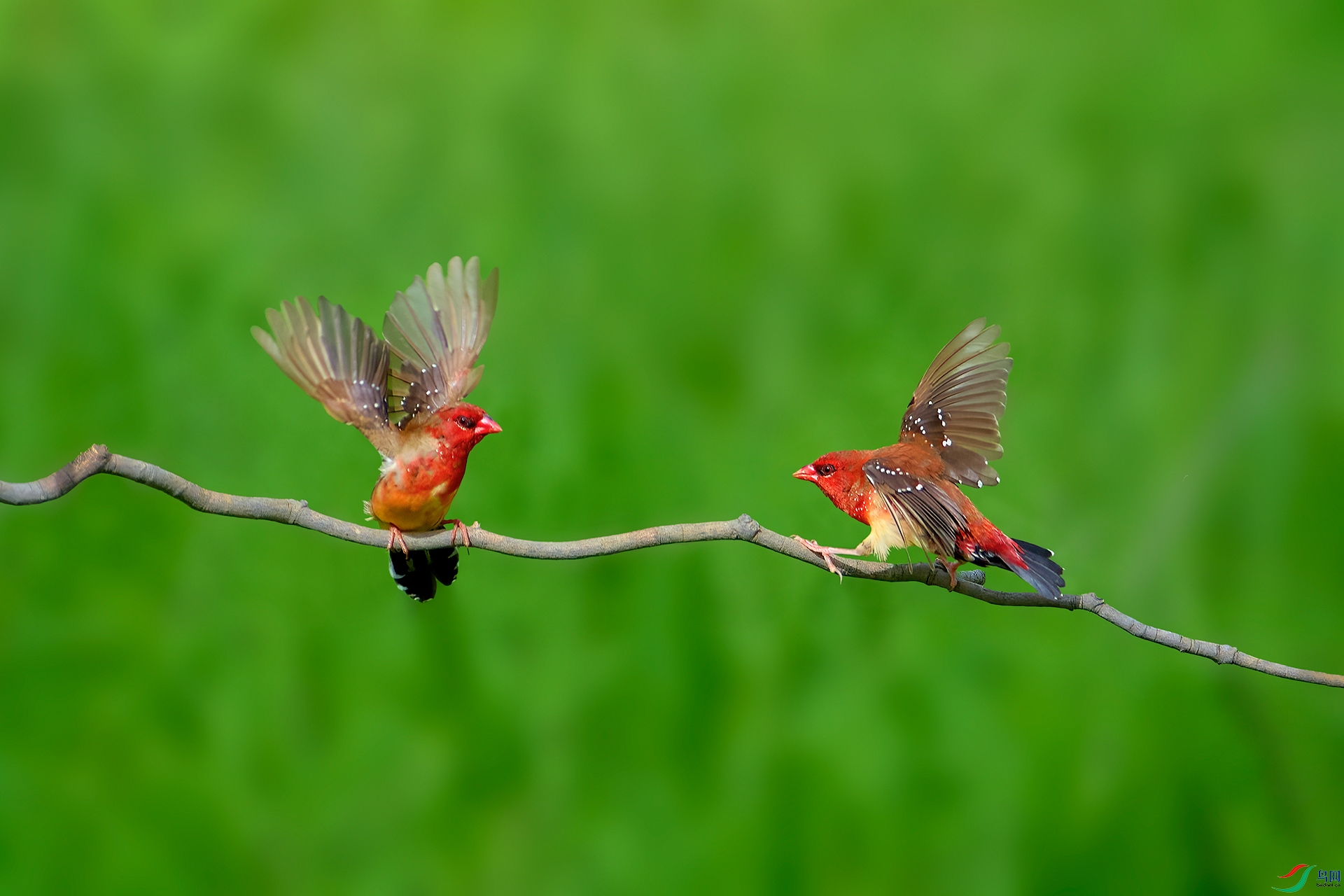 _90A4344-1-HZW.jpg