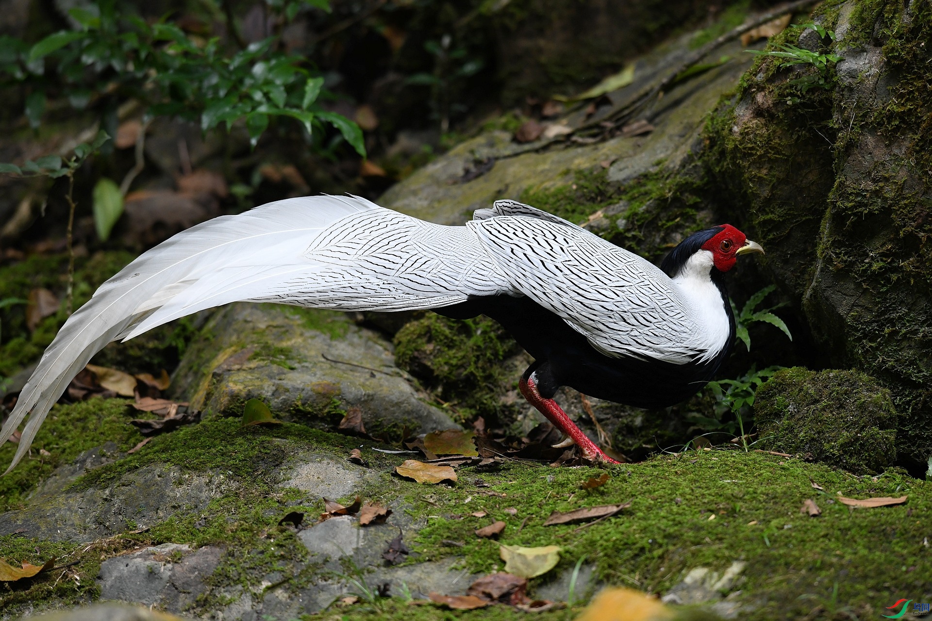 DSC_6918.jpg