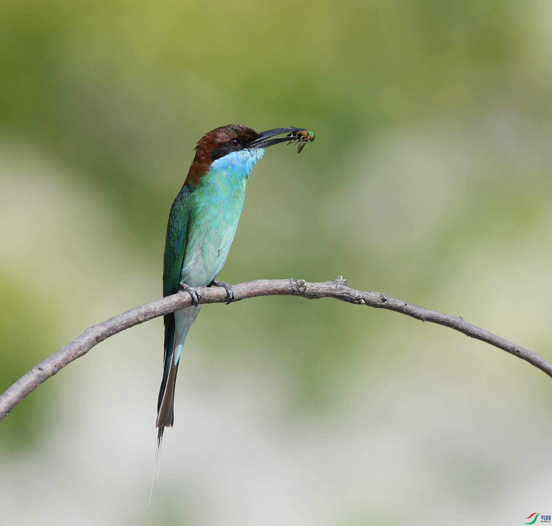 DSC_6450.jpg