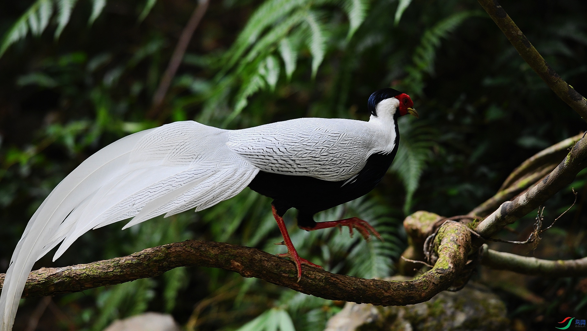 DSC_6875.jpg