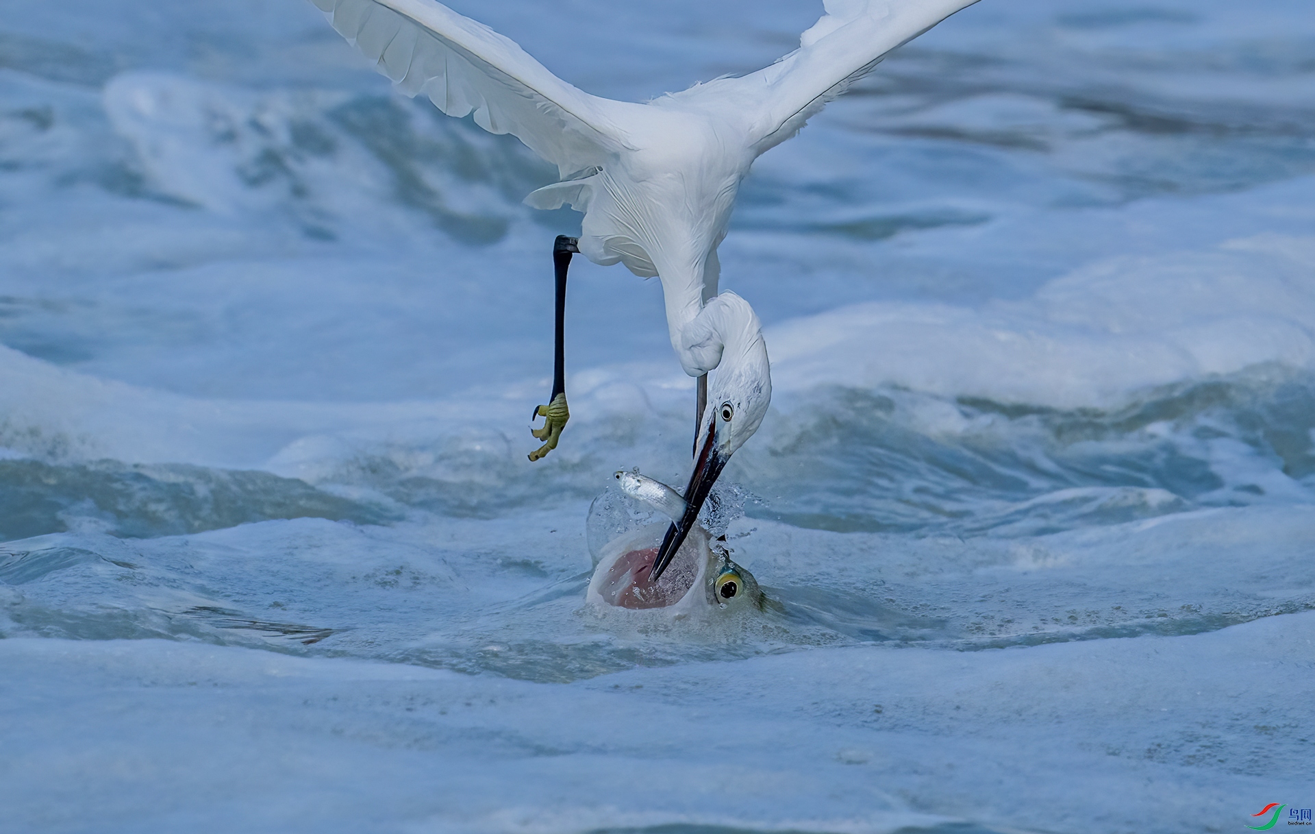 DSC_9577.jpg