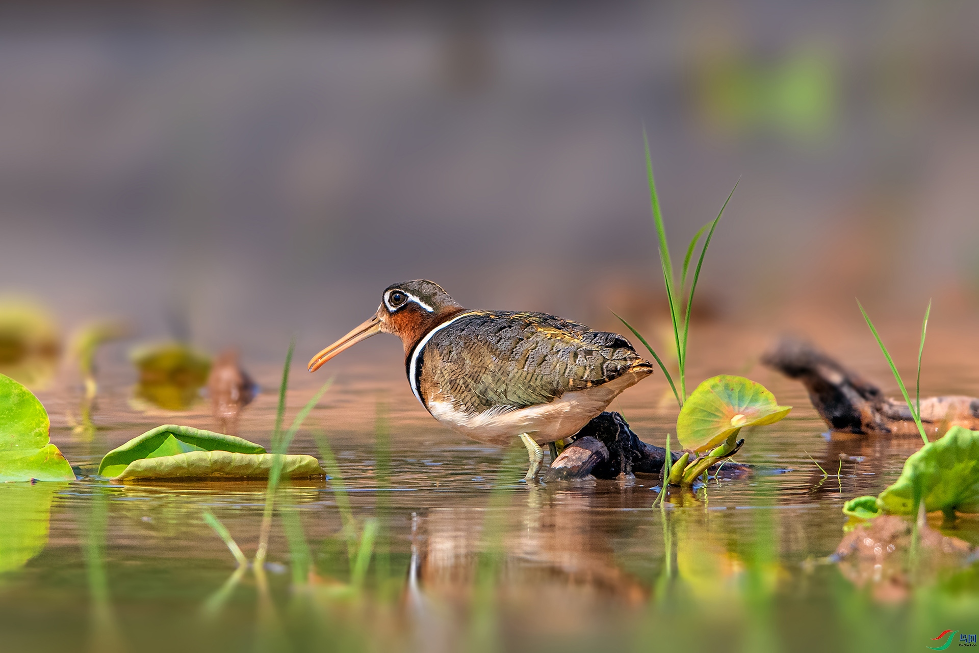 _AUU2241����(24.5.4).jpg