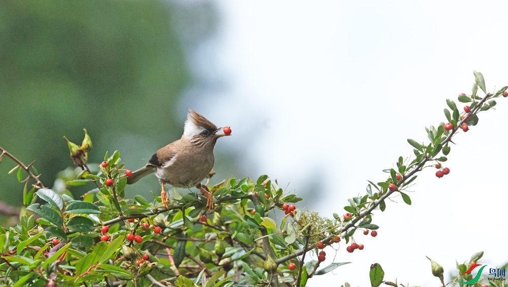 DSCF5818.1.jpg