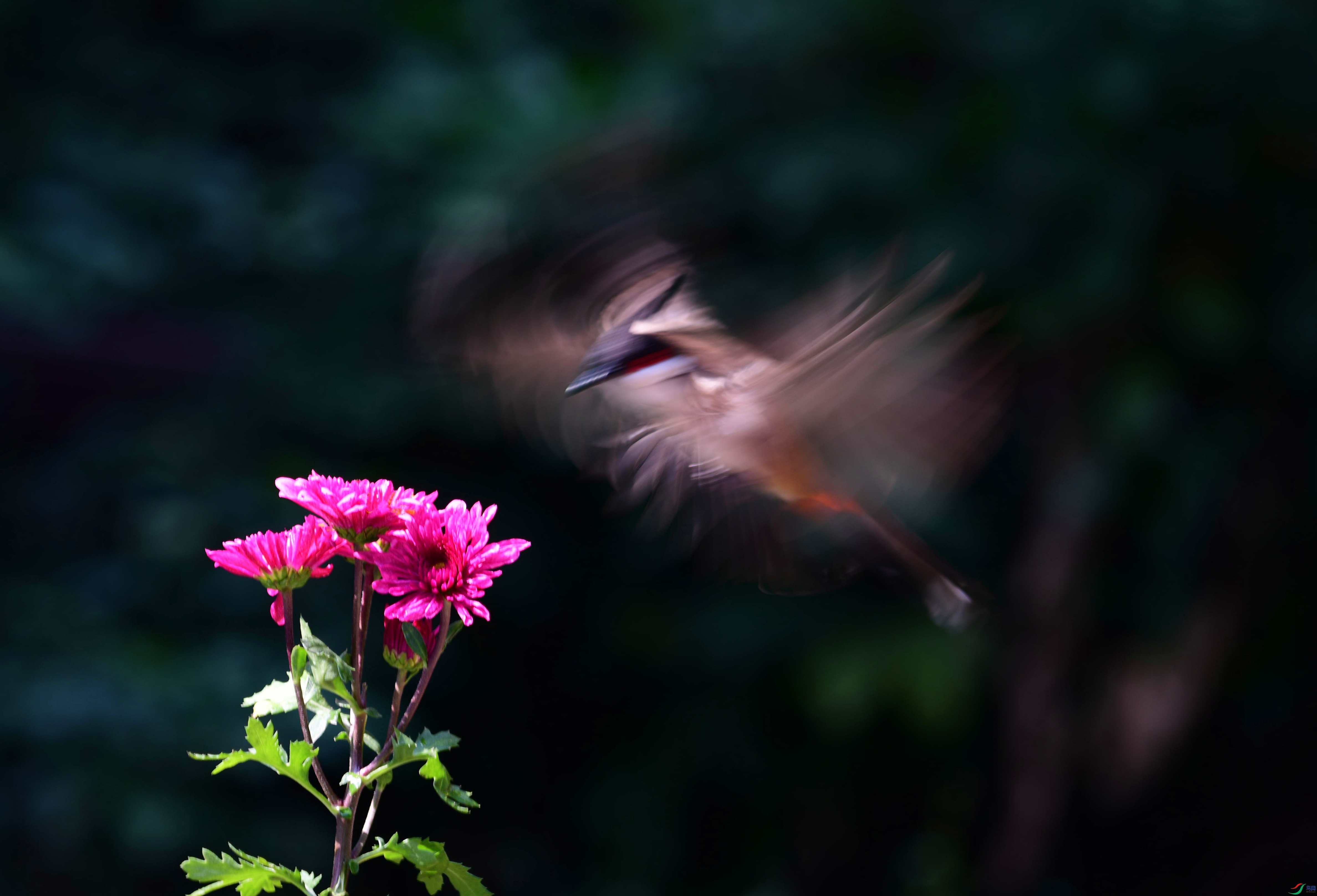 DSC_0483_��ͼ��_����.jpg