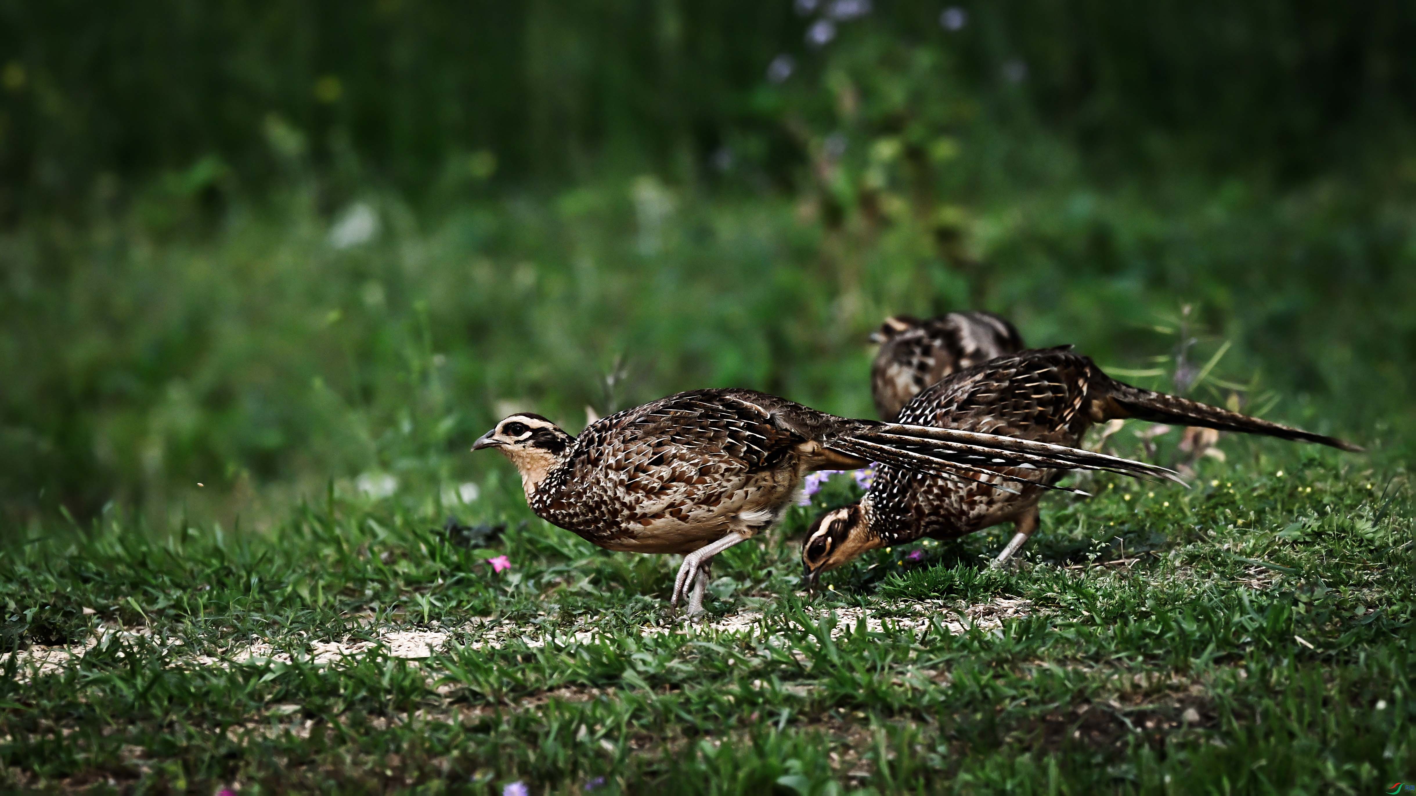 DSC_6854.jpg