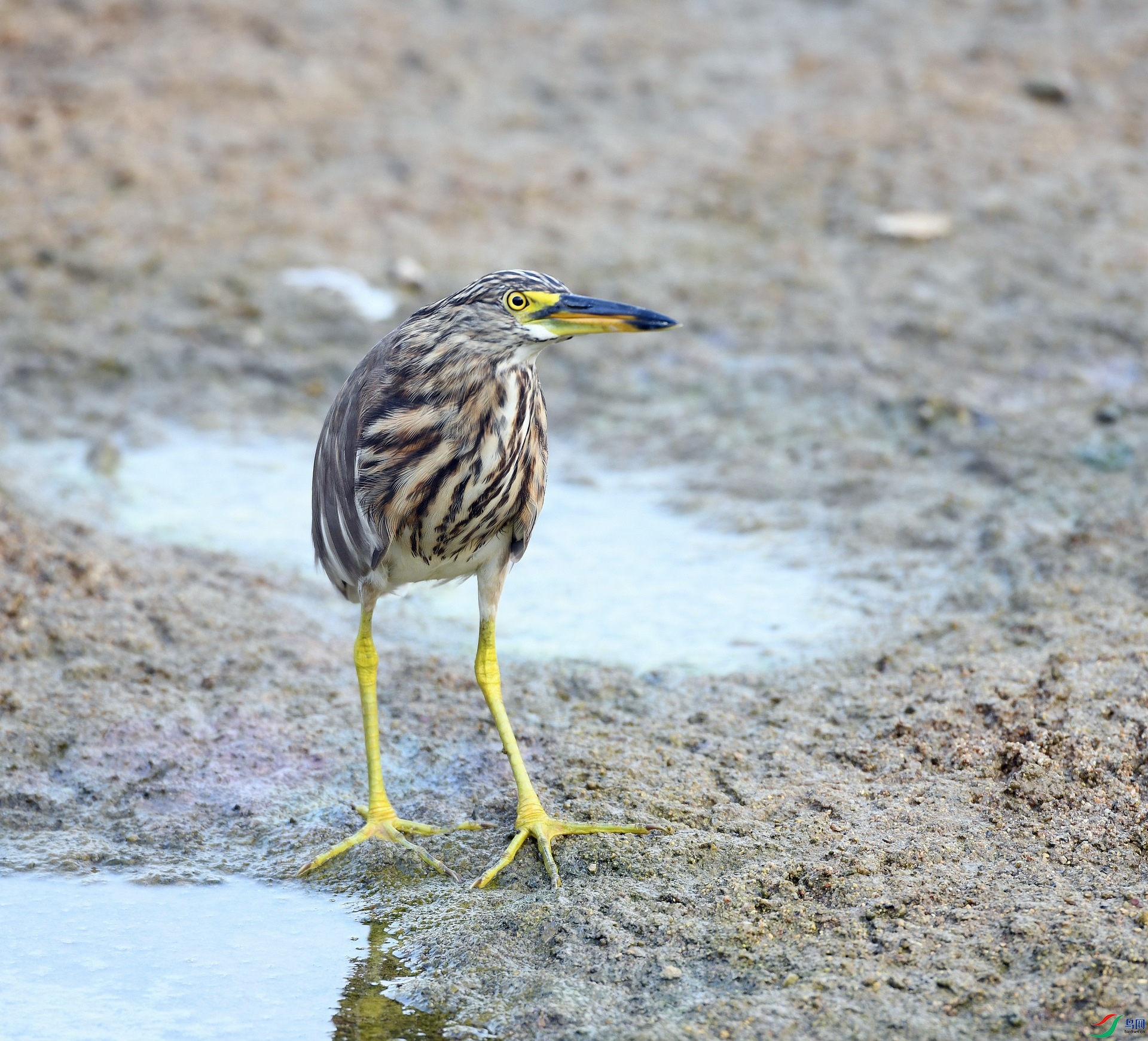 DSC_0741.jpg