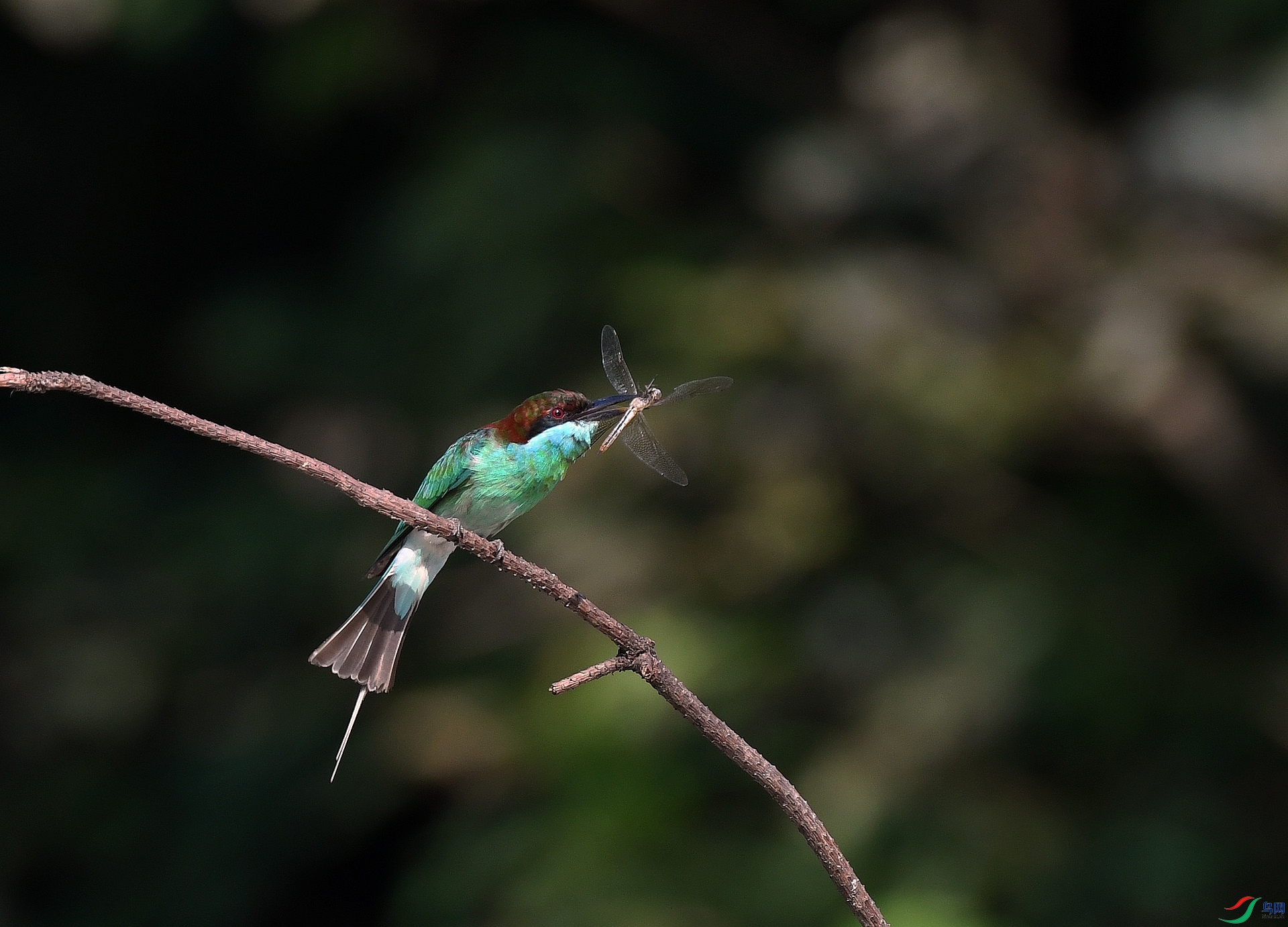 DSC_8854.jpg