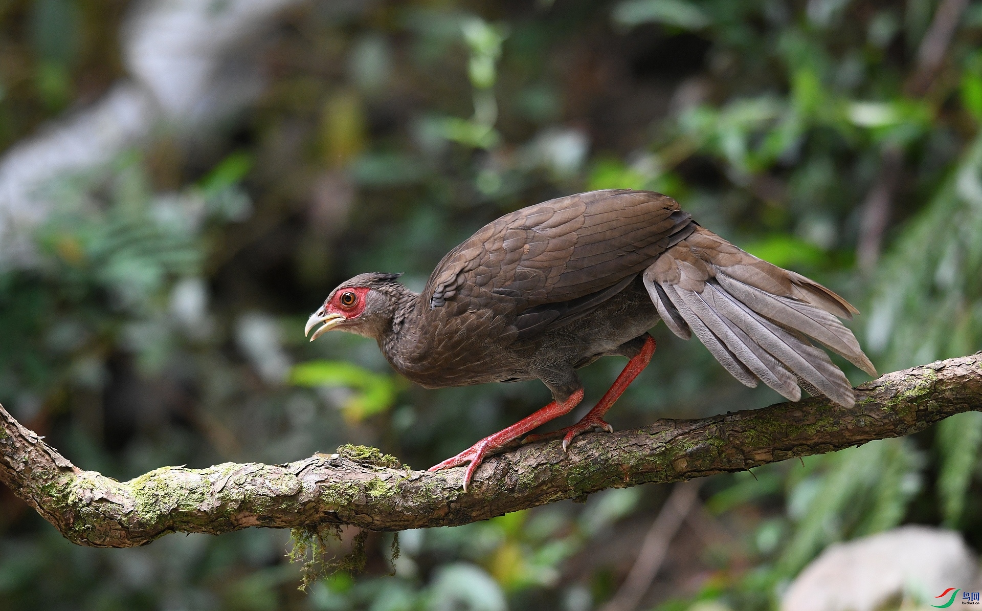 DSC_6783.jpg