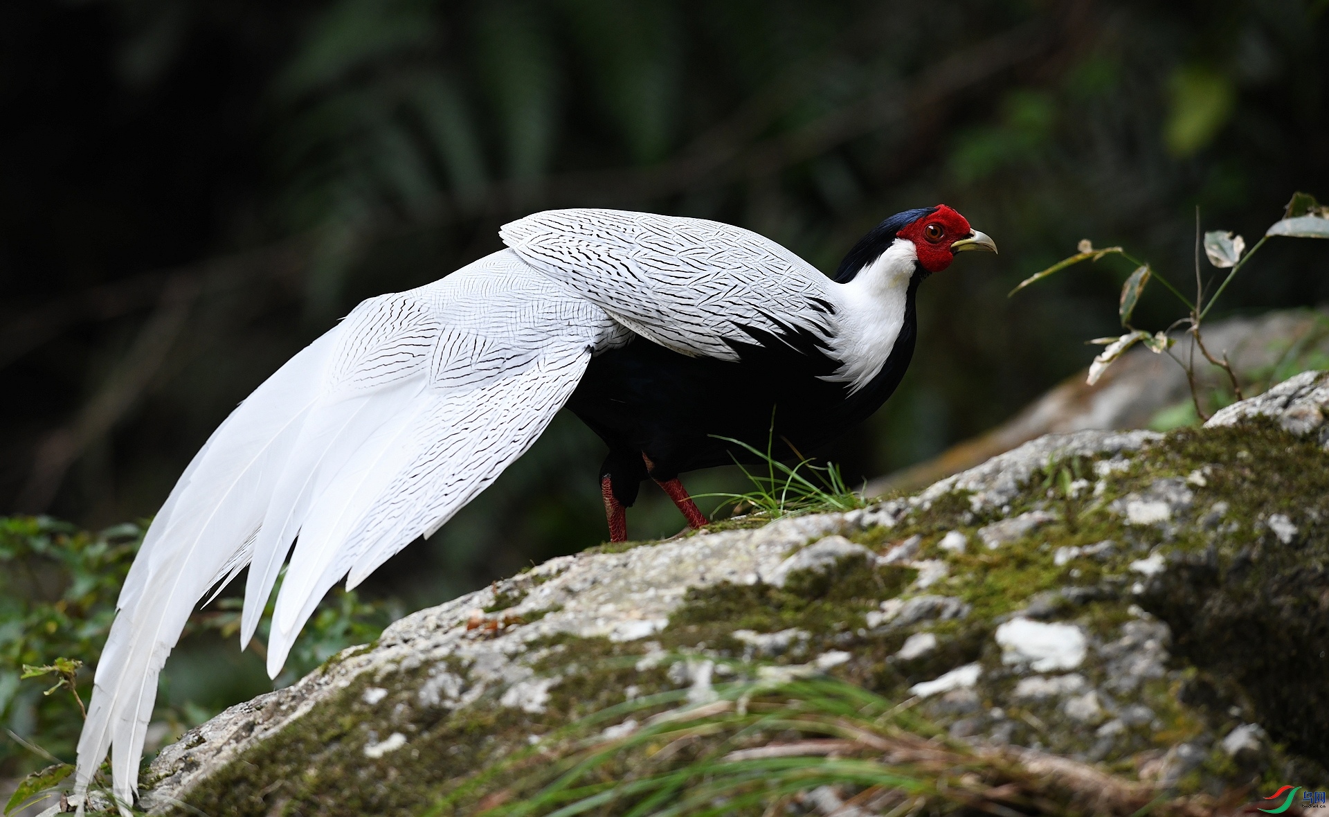 DSC_7365.jpg