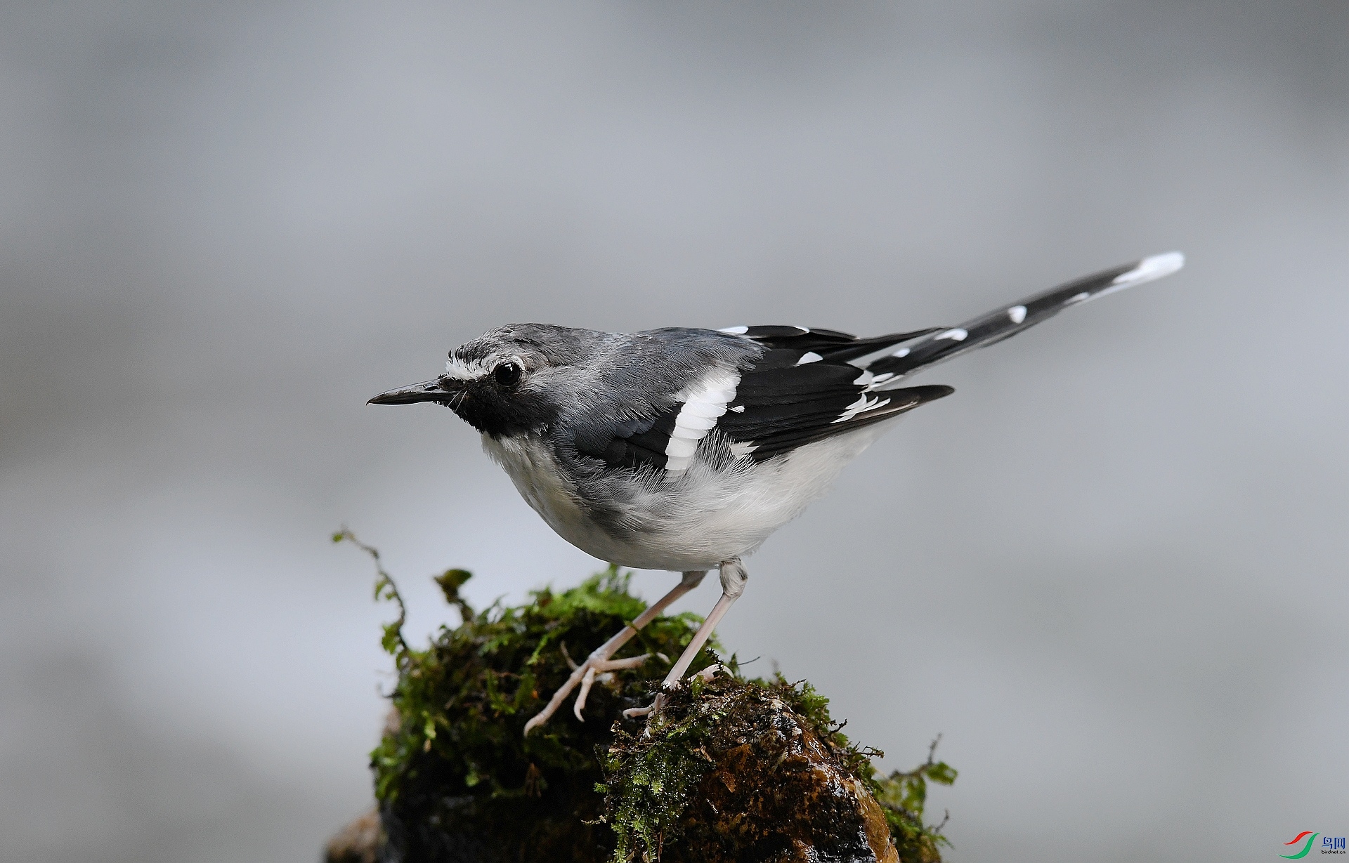 DSC_8836.jpg