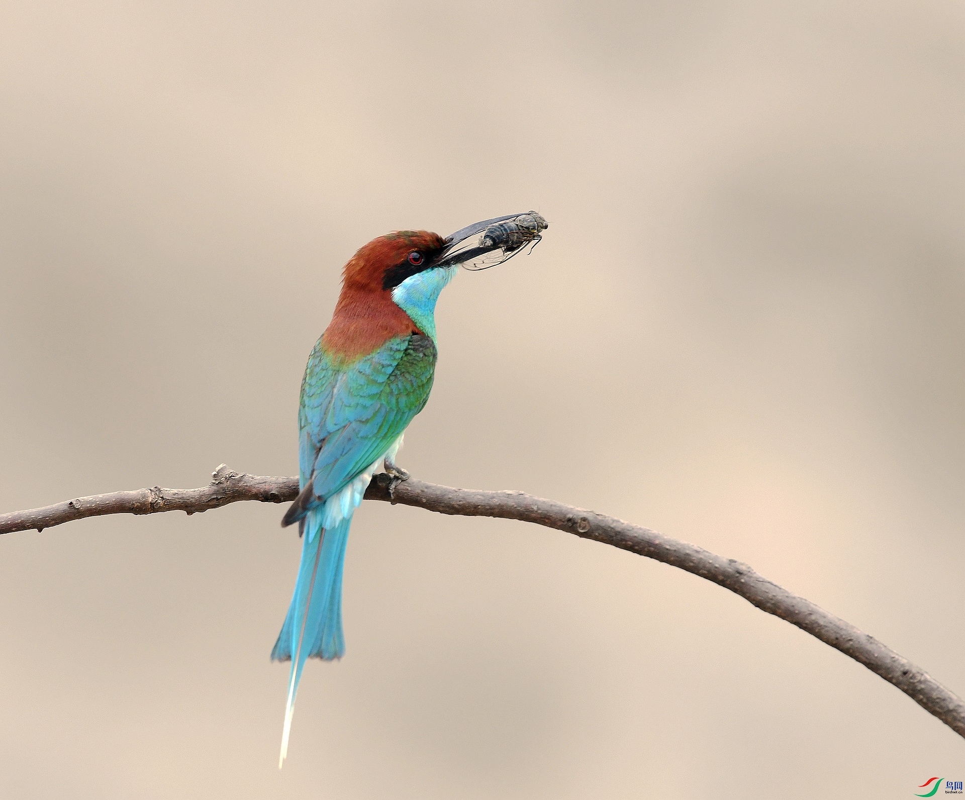 DSC_5283.jpg