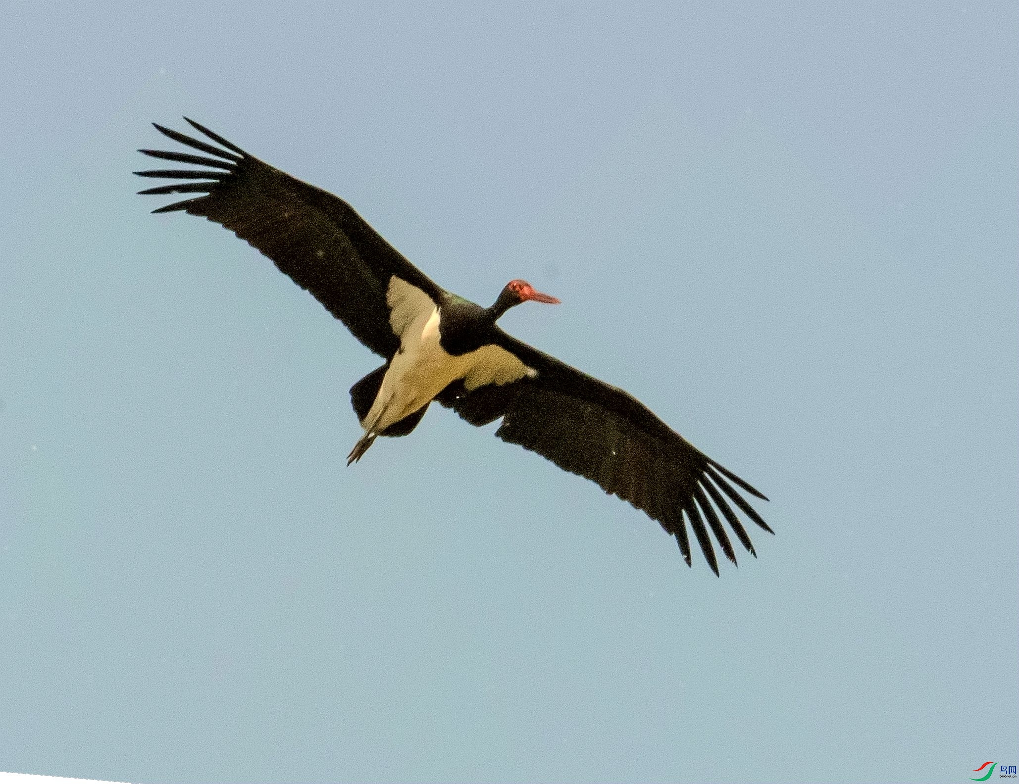 DSC_6373_����.jpg
