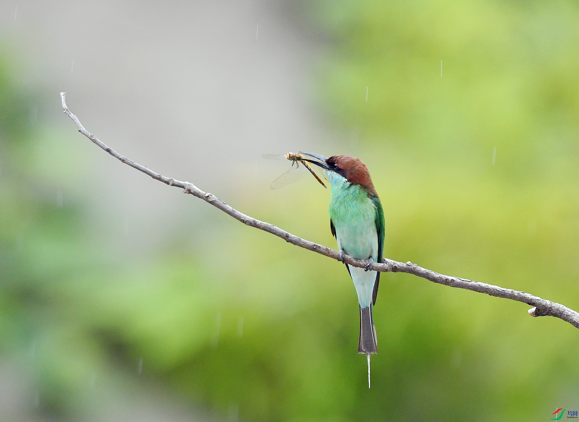 DSC_5285.jpg
