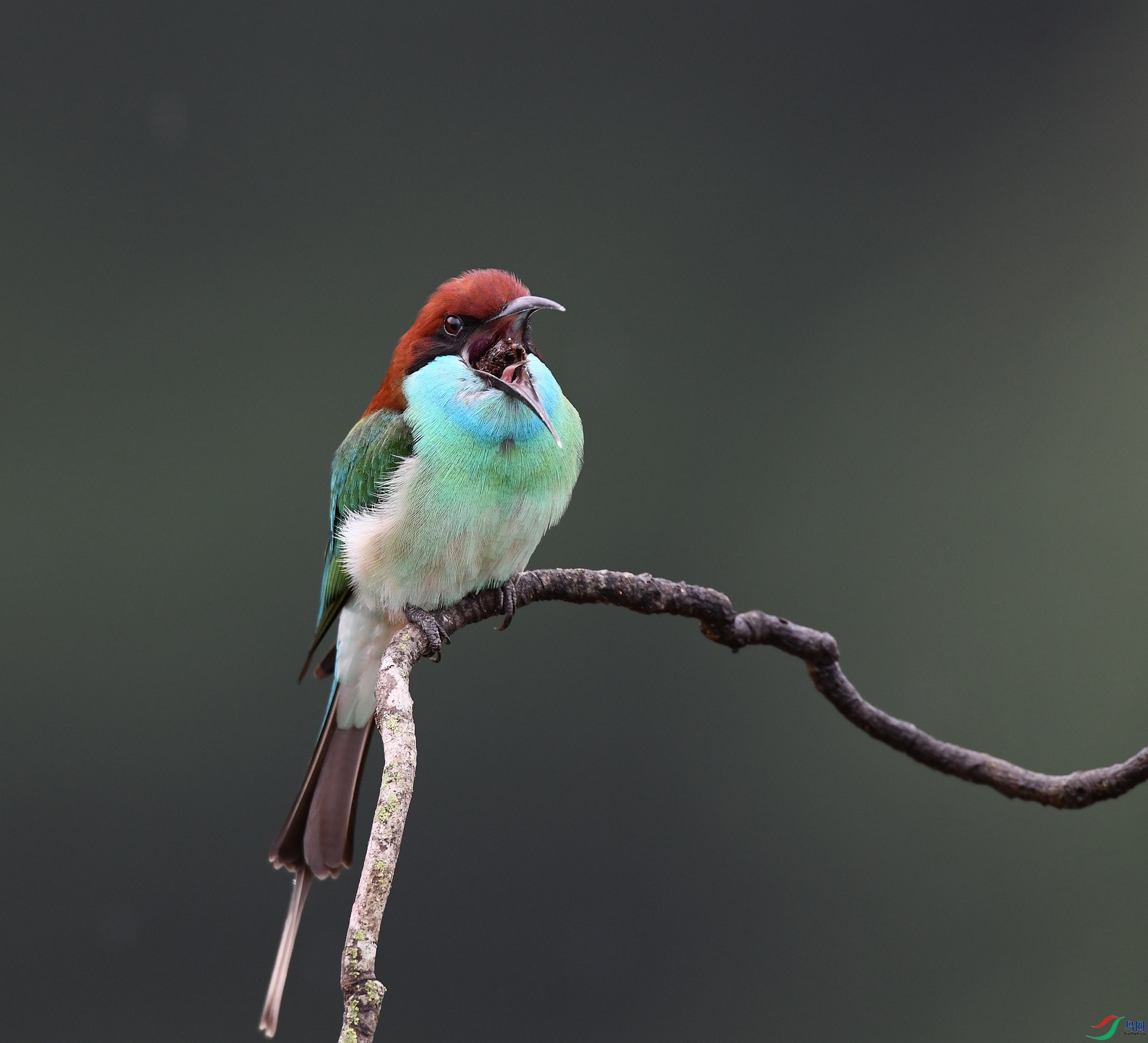 DSC_5029.jpg