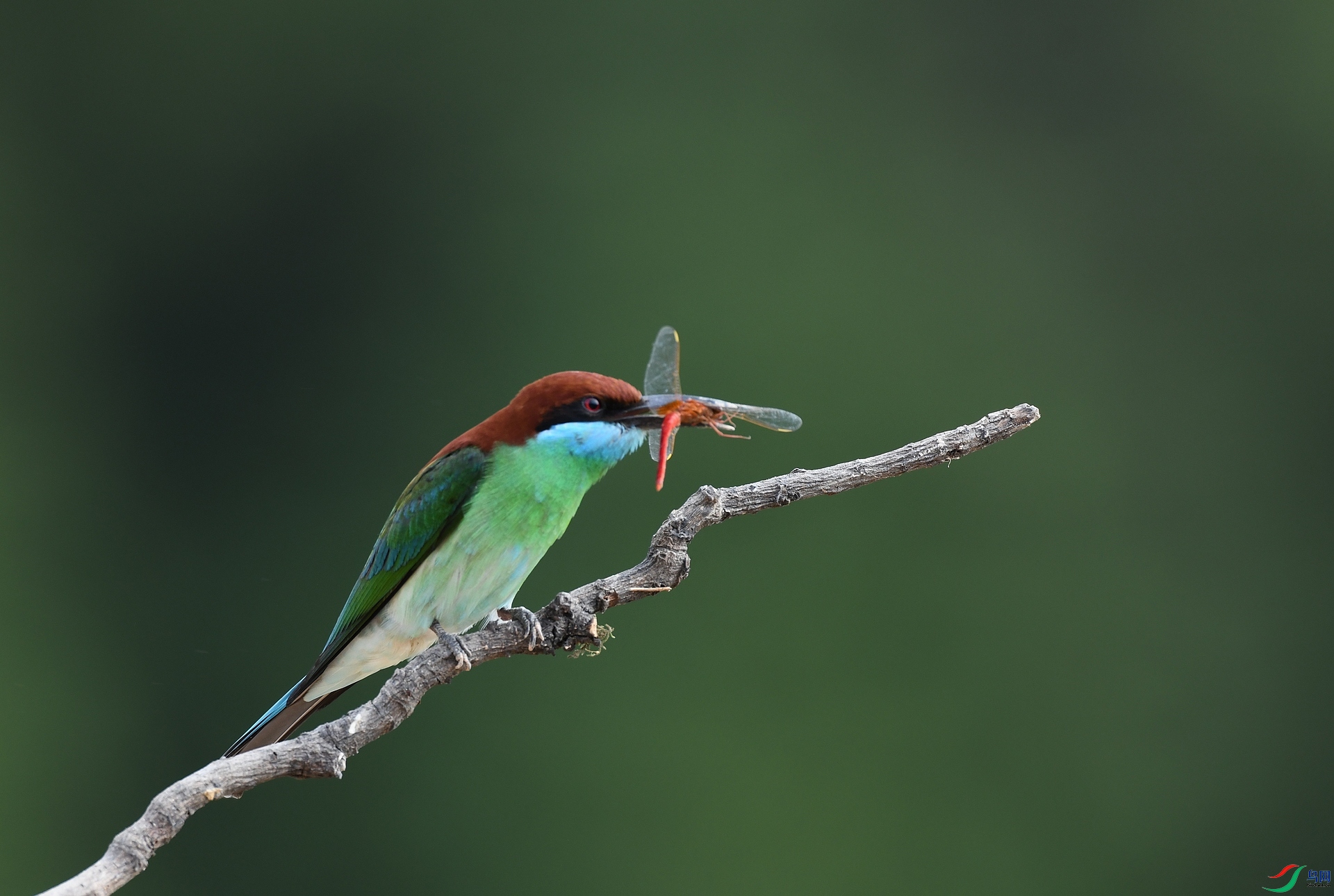 DSC_5028.jpg