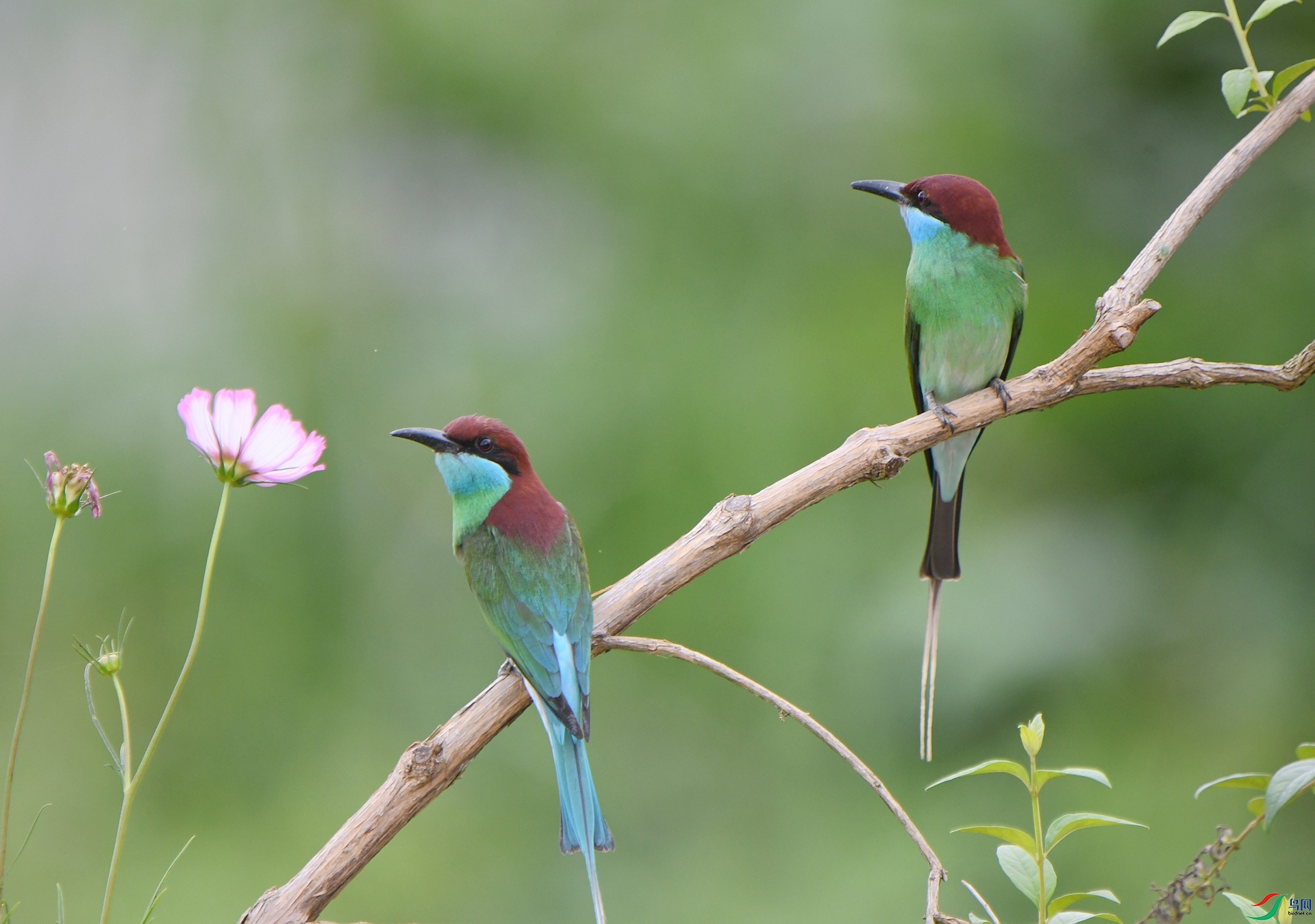 DSC_5621.jpg