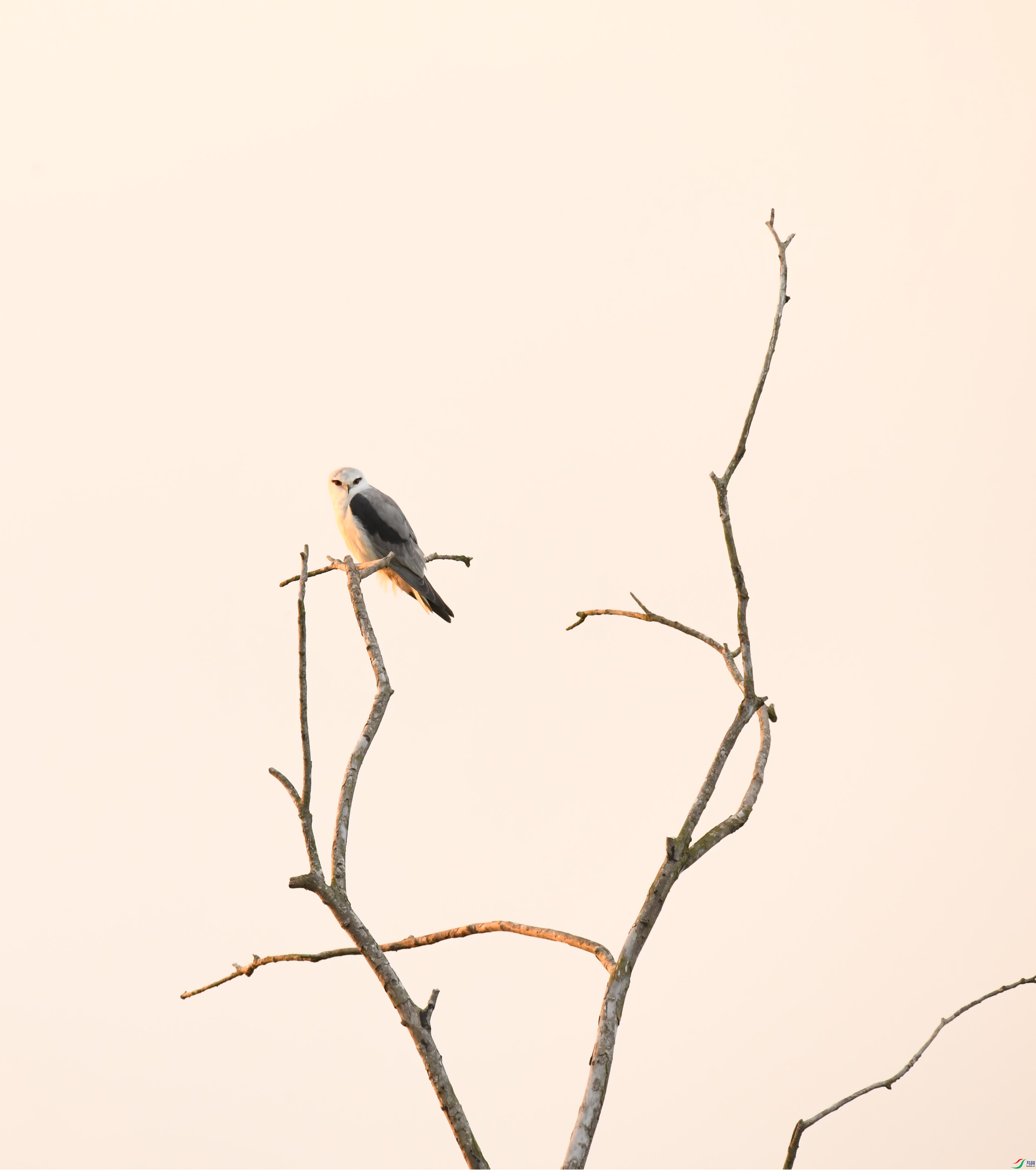 DSC_8334(1).png