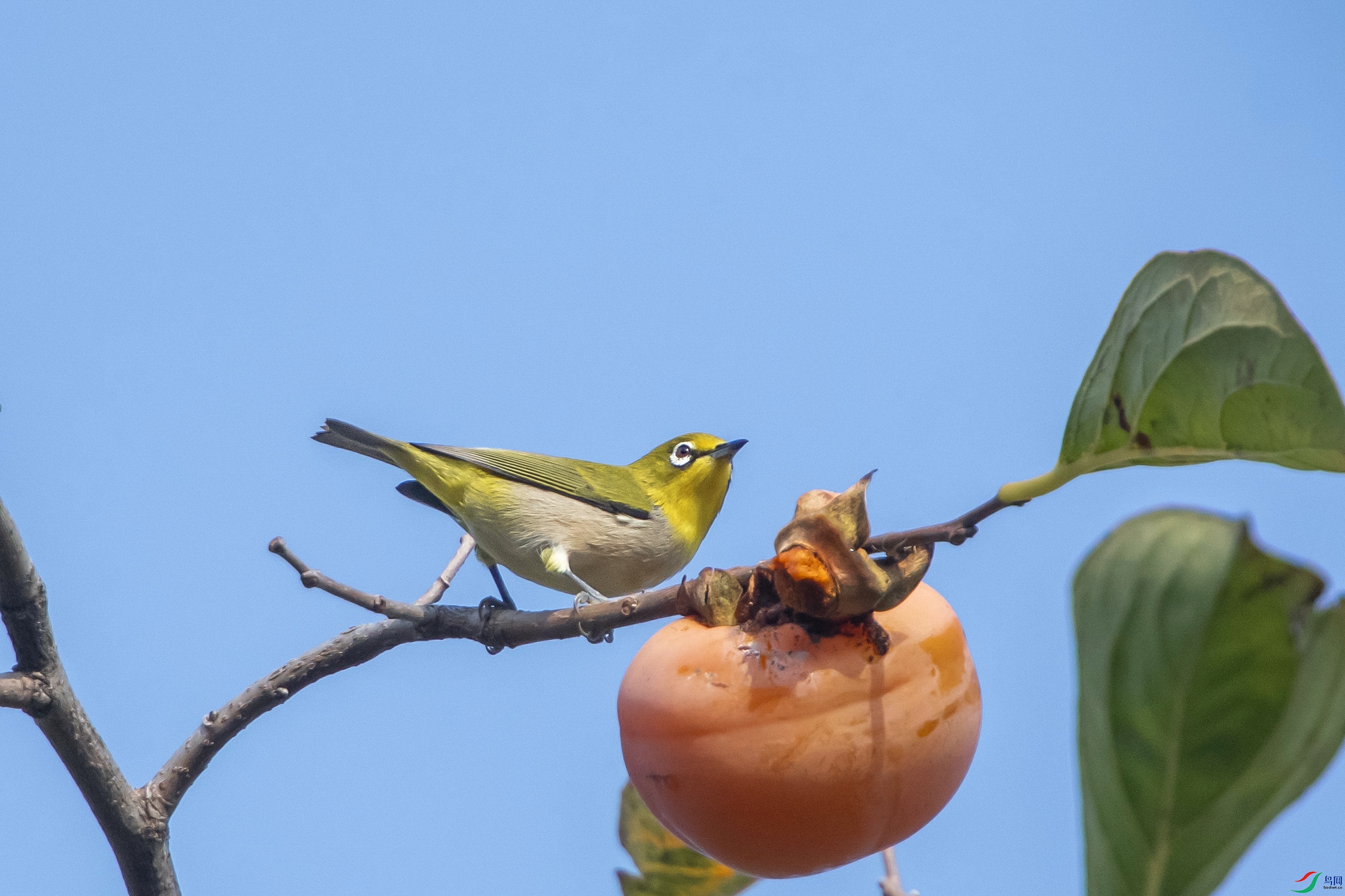 DSC_4097.jpg