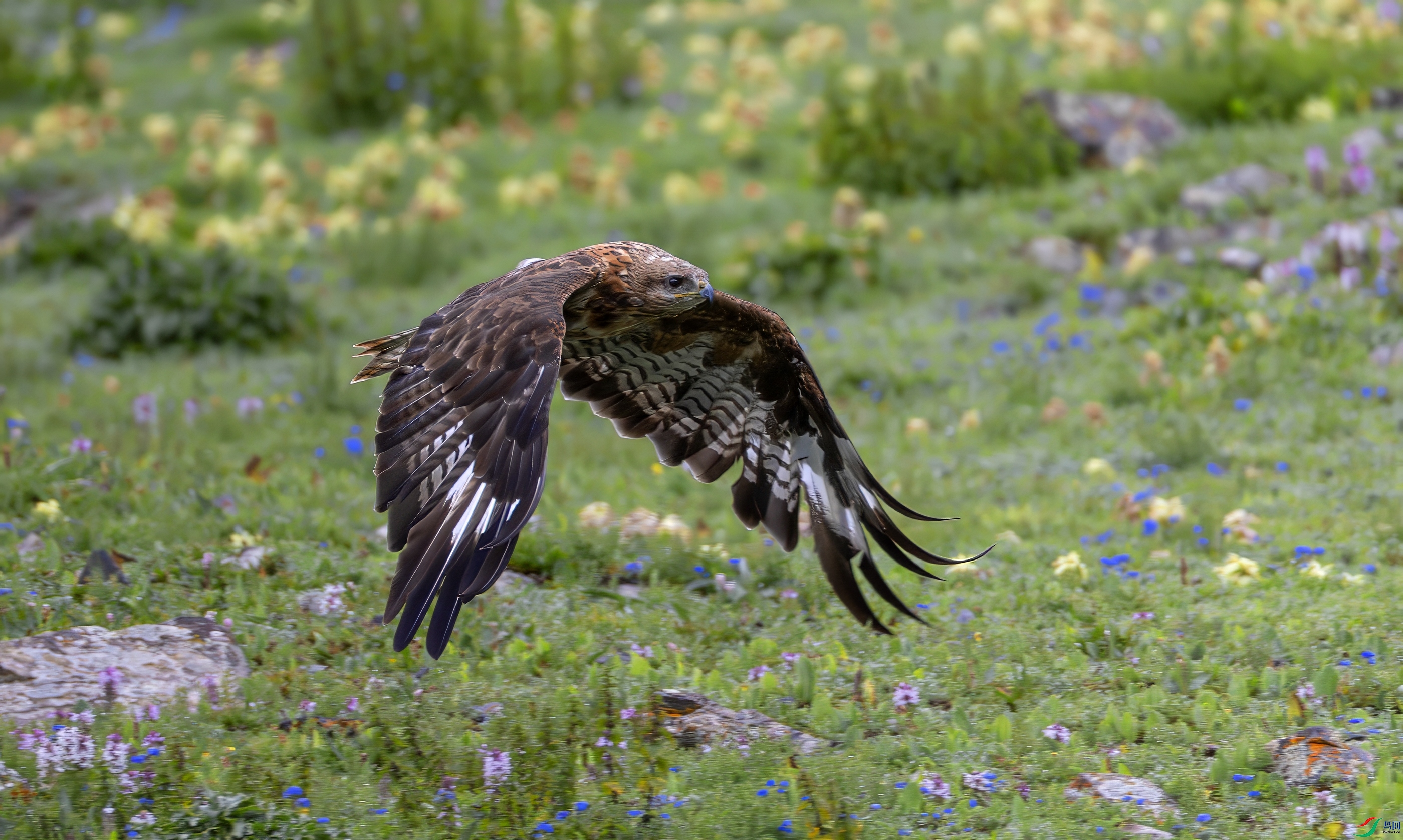 _X0A6673-topaz-denoise.jpeg