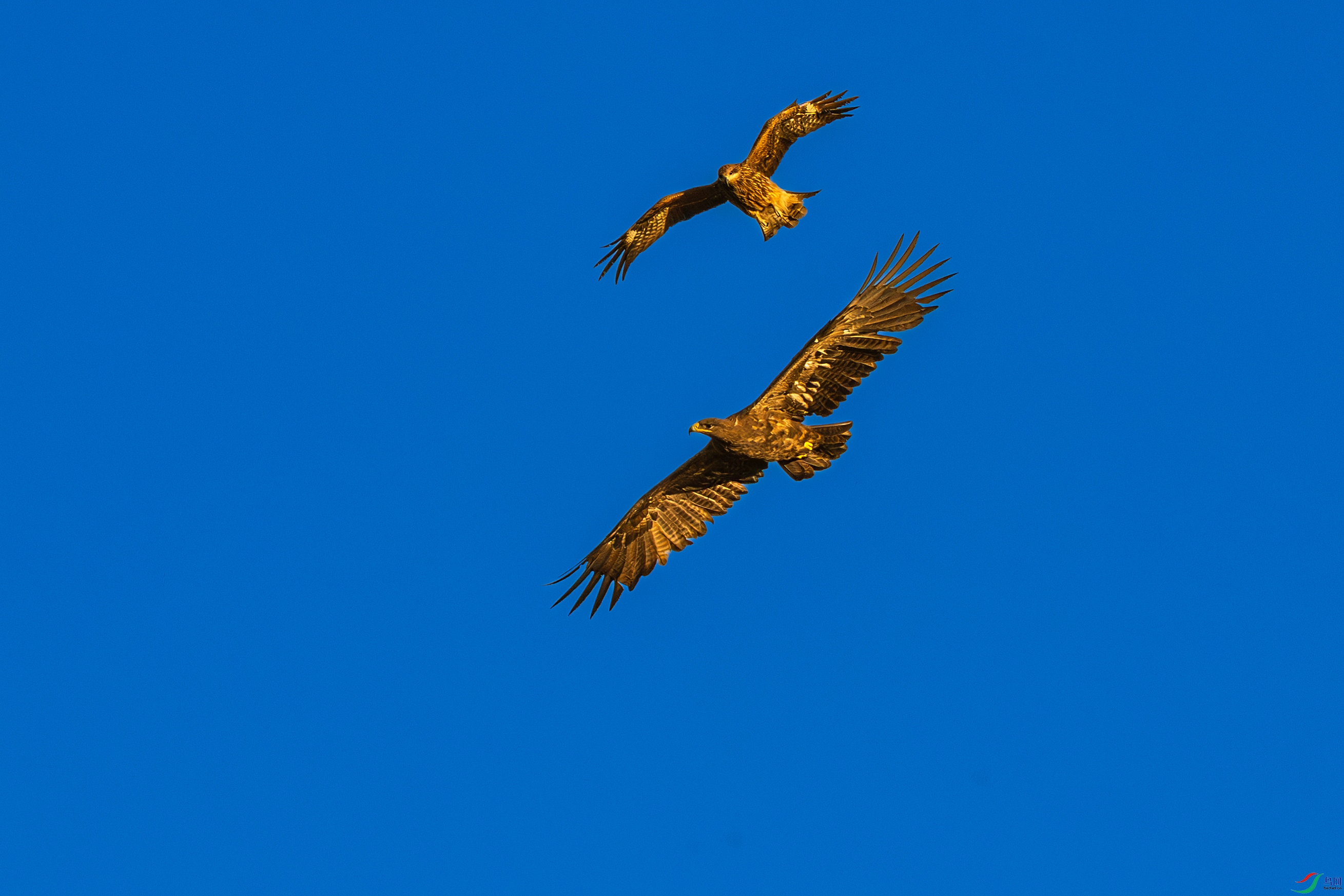 _DSC8984-1.jpg