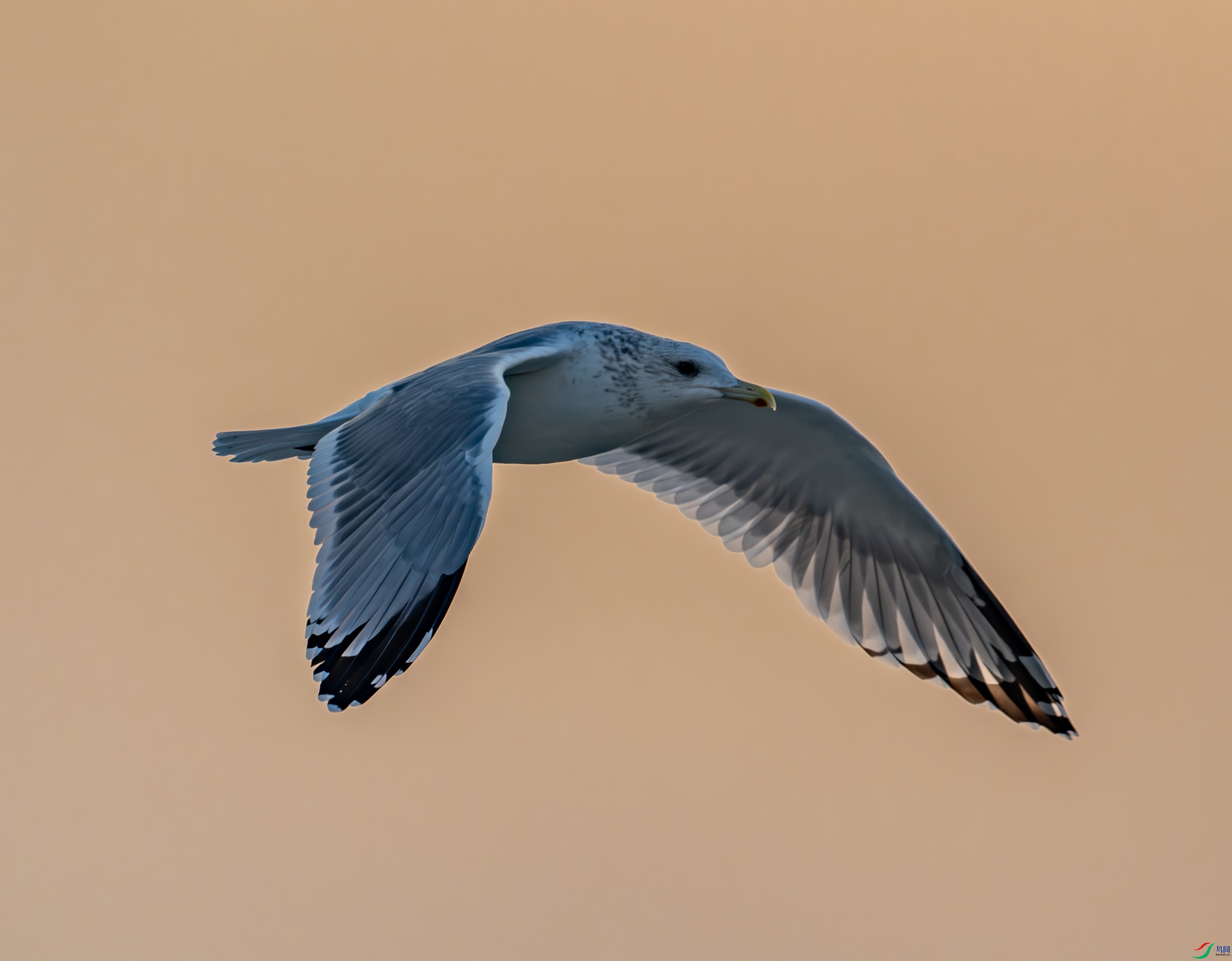 ����������Ÿ-03-35.jpg