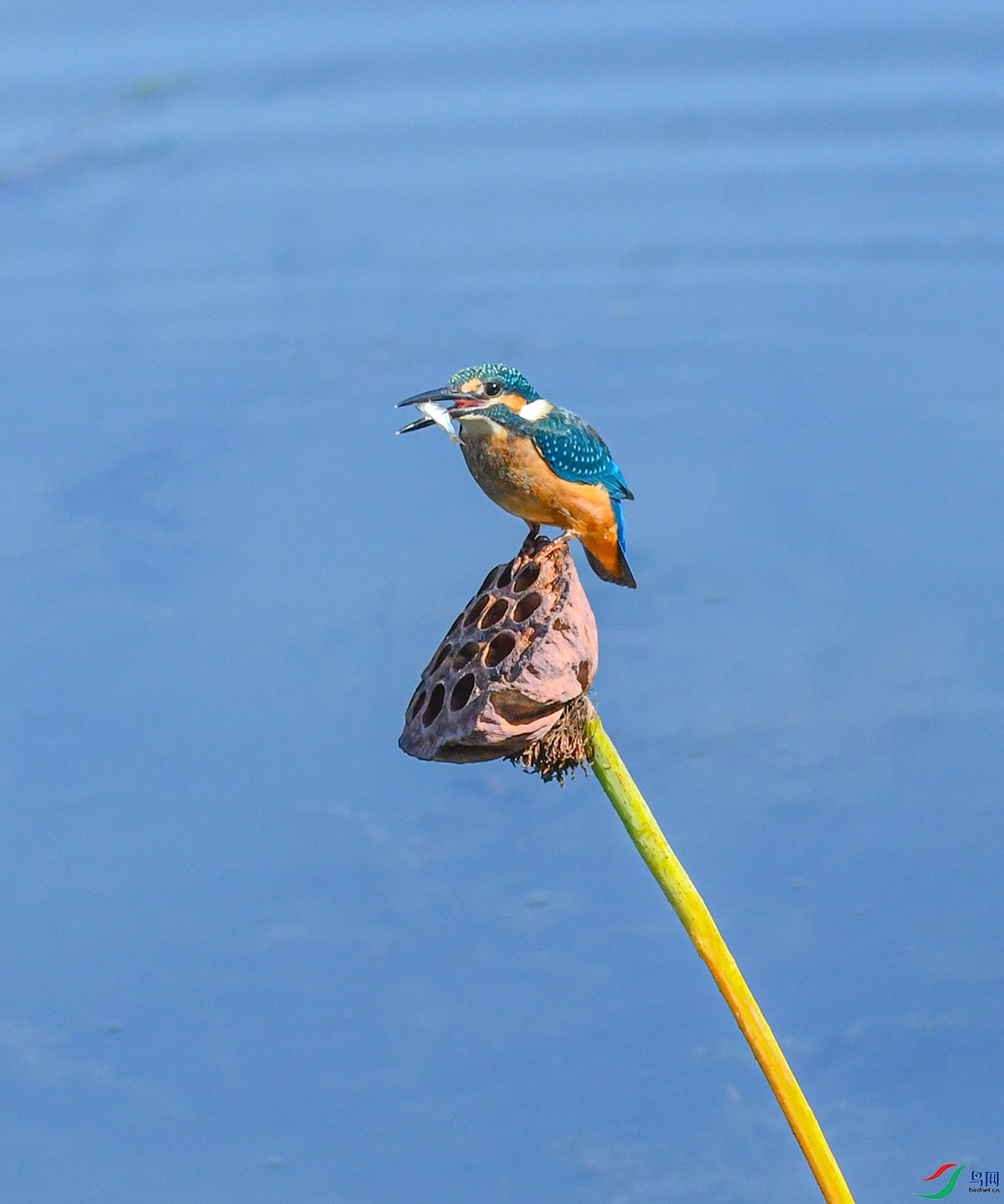 DSC_6604_��ͼ�� ����.jpg