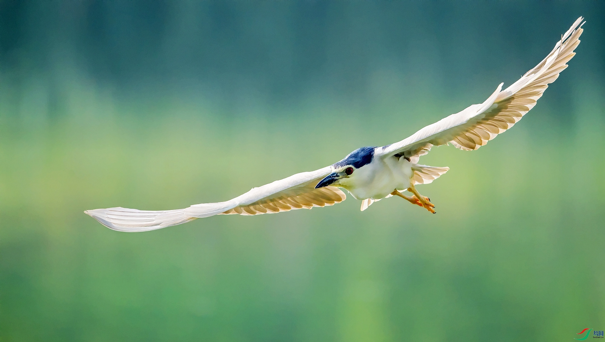 DSC_2898�ͷ�.jpg