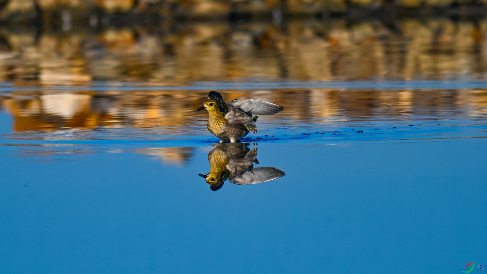 DSC_4749_��ͼ�� ����.jpg
