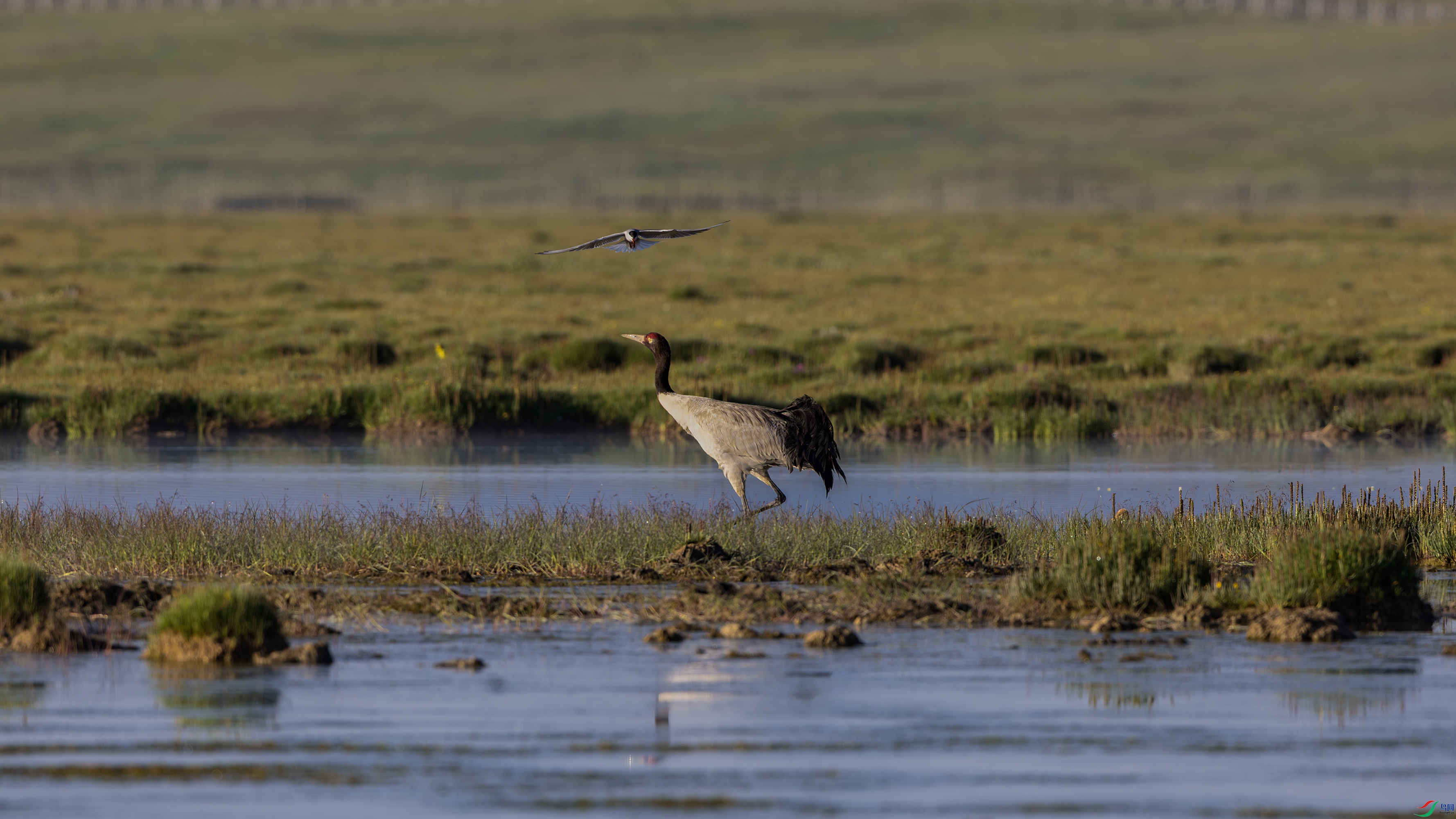 0O7A7770 3333.jpg