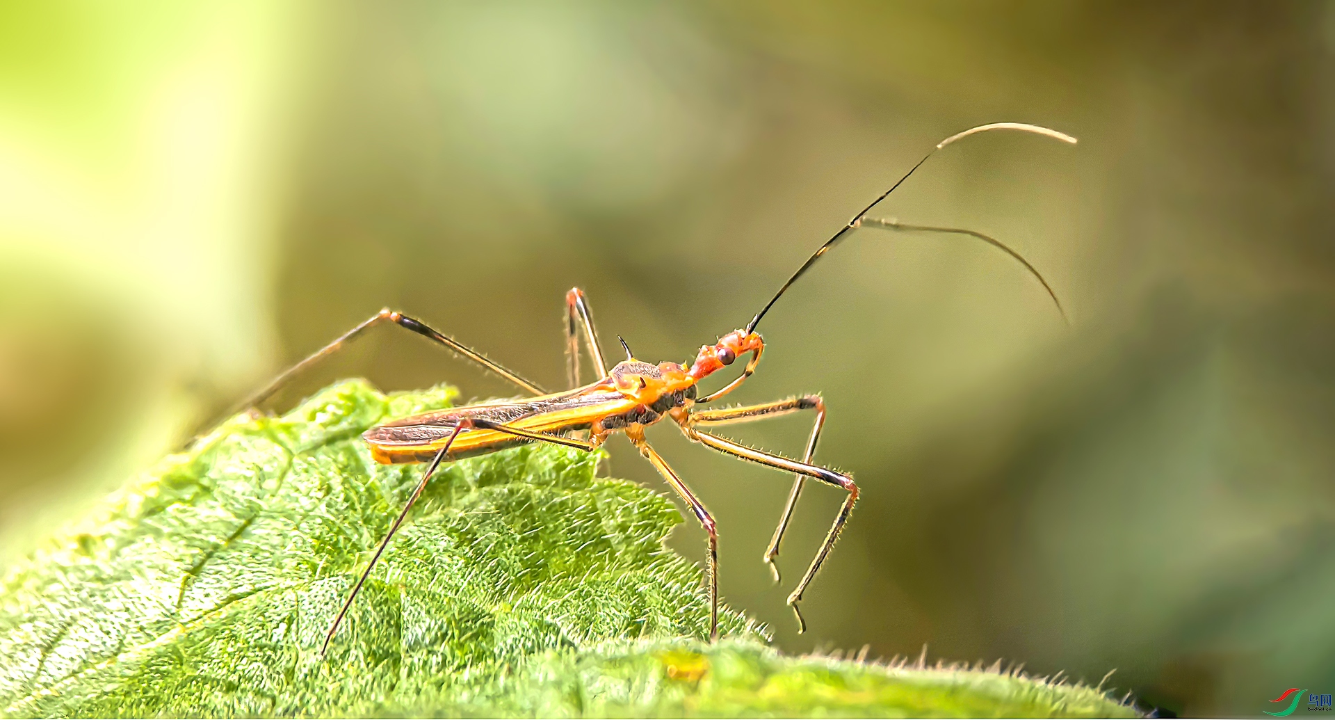 ΢���������������������MG_20260927_102946 ------333   .jpg
